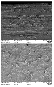 Lubricants 07 00060 i003