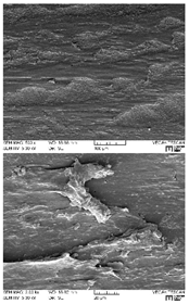 Lubricants 07 00060 i005
