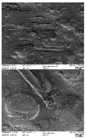 Lubricants 07 00060 i006