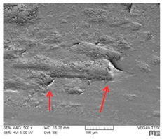 Lubricants 07 00060 i007