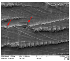 Lubricants 07 00060 i008