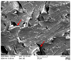 Lubricants 07 00060 i011