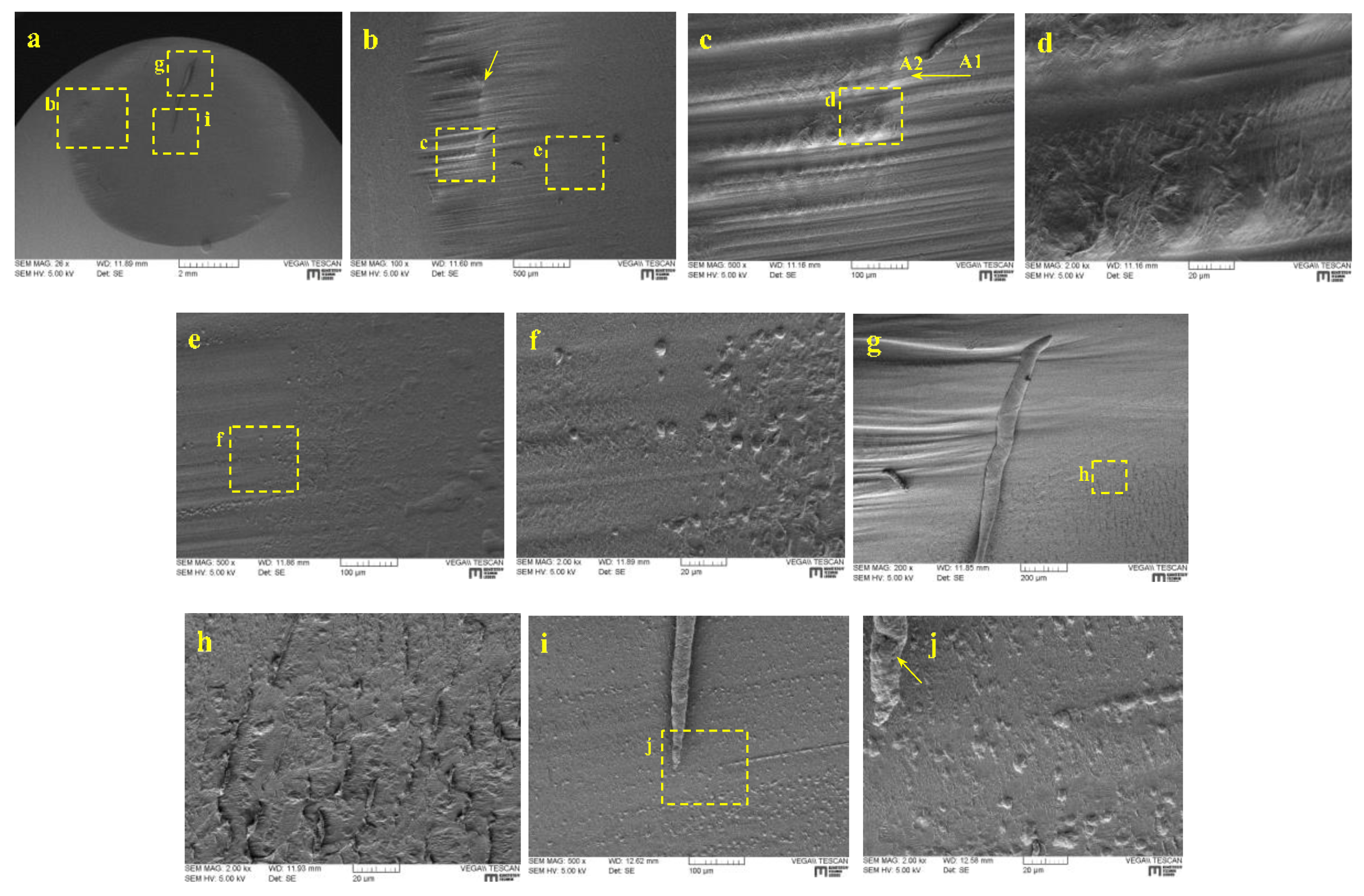 Lubricants 07 00073 g022