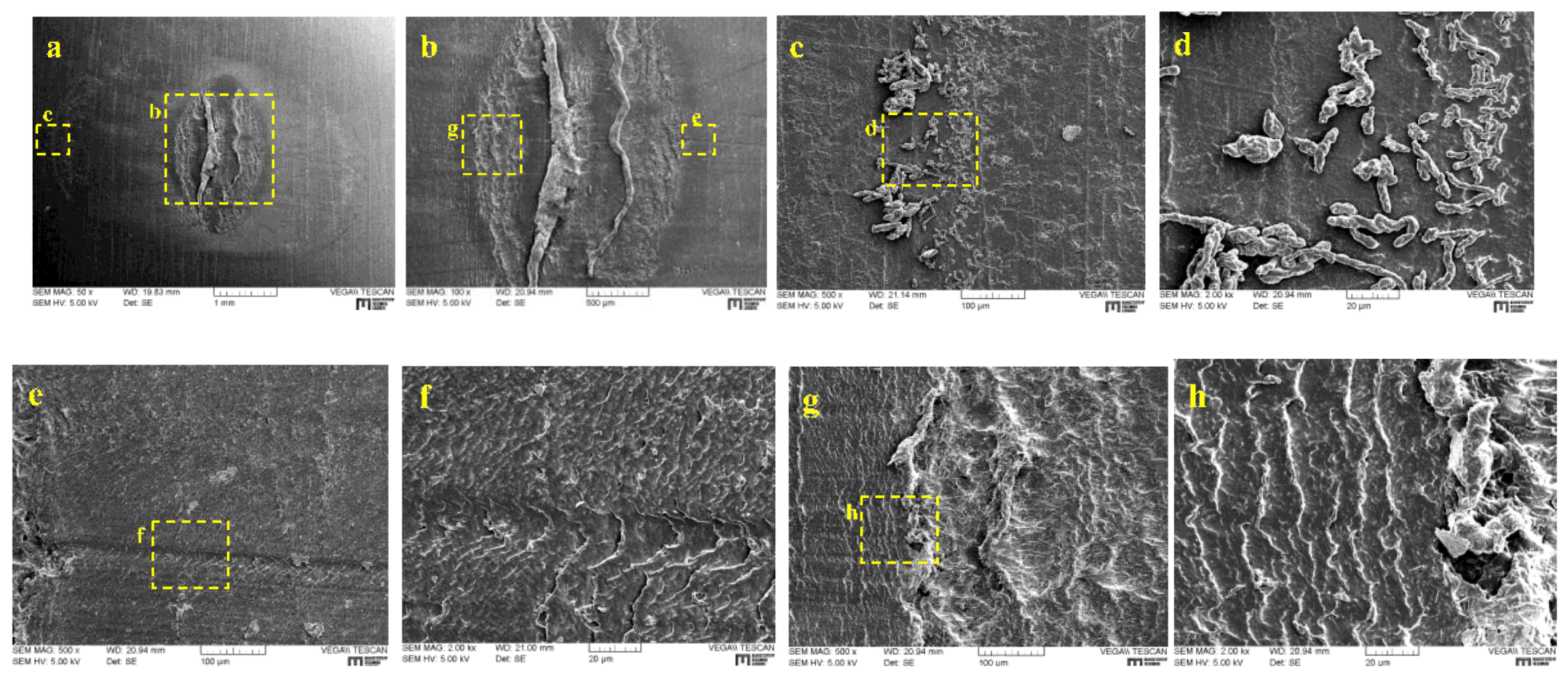 Lubricants 07 00073 g026