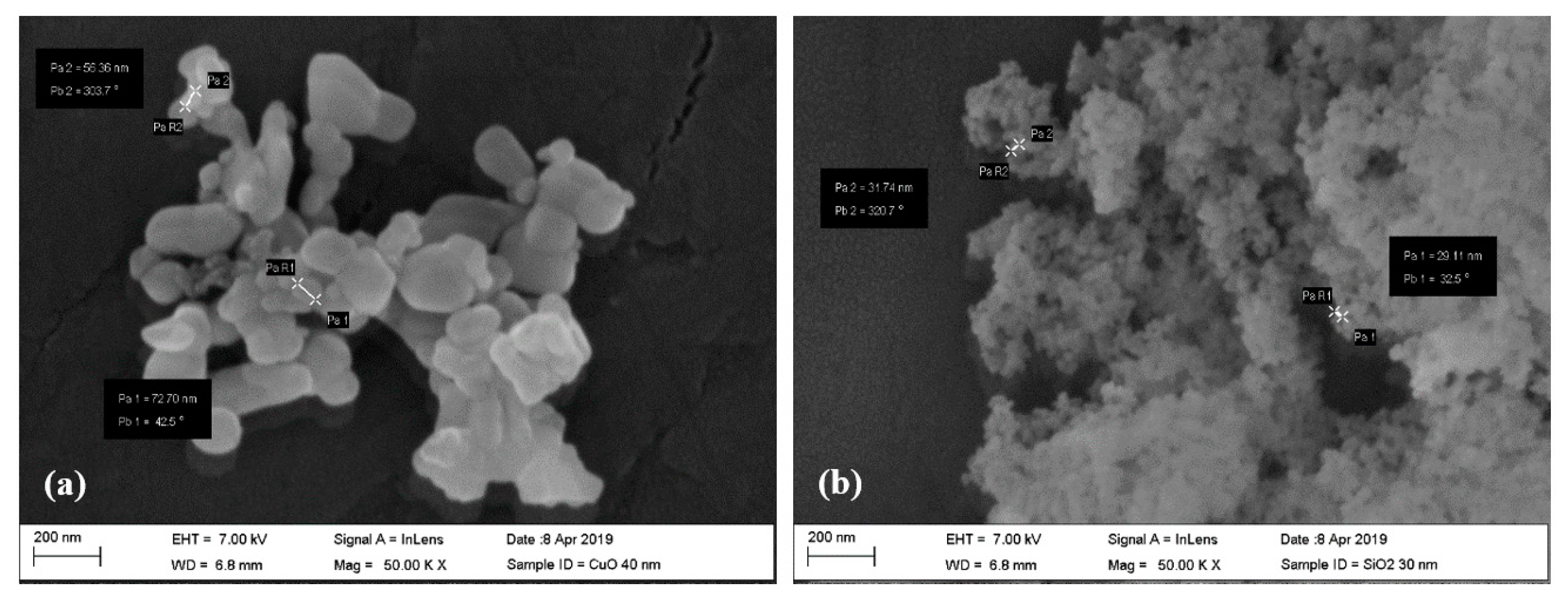 Lubricants 07 00076 g003