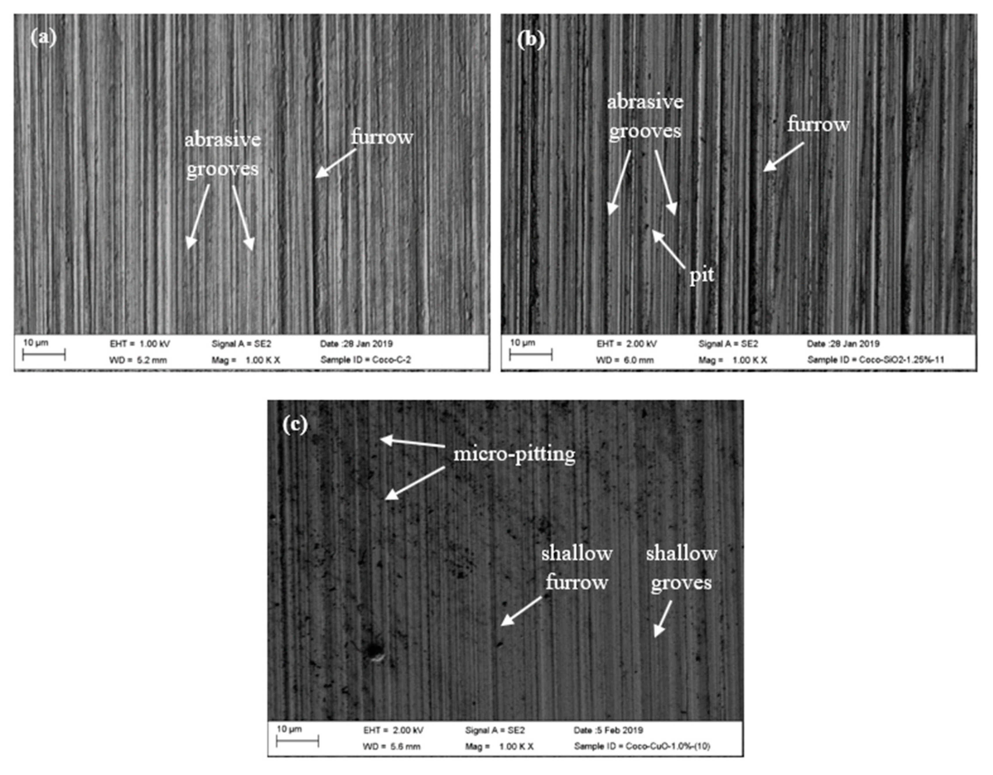 Lubricants 07 00076 g012