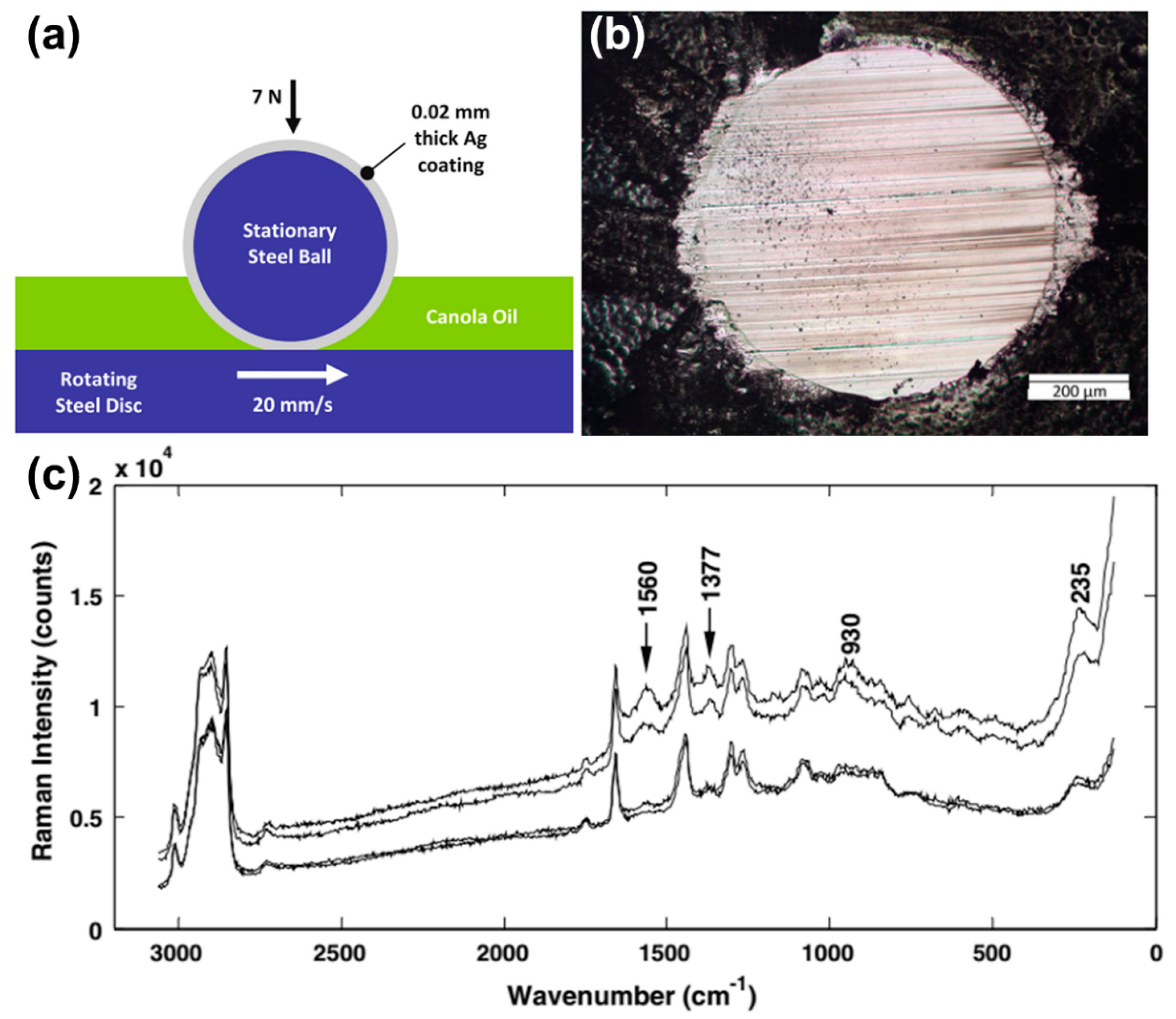 Lubricants 07 00081 g004