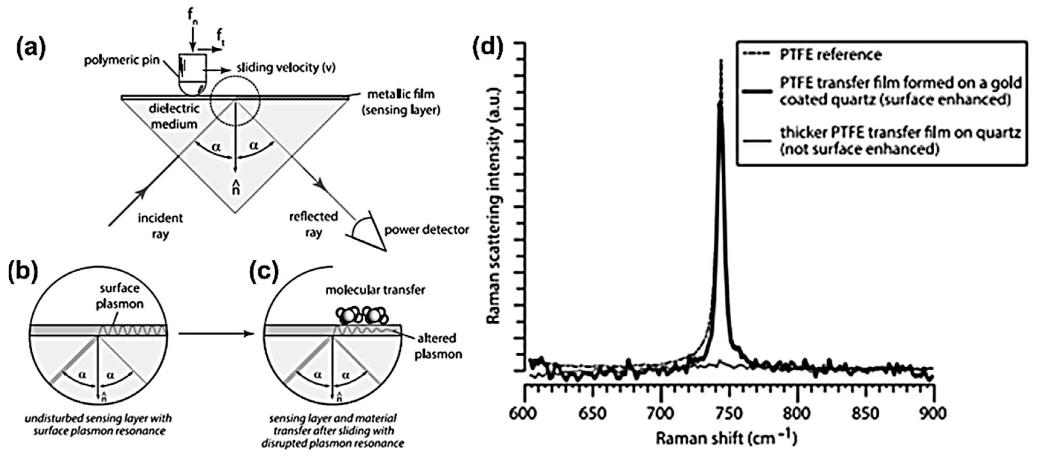 Lubricants 07 00081 g006
