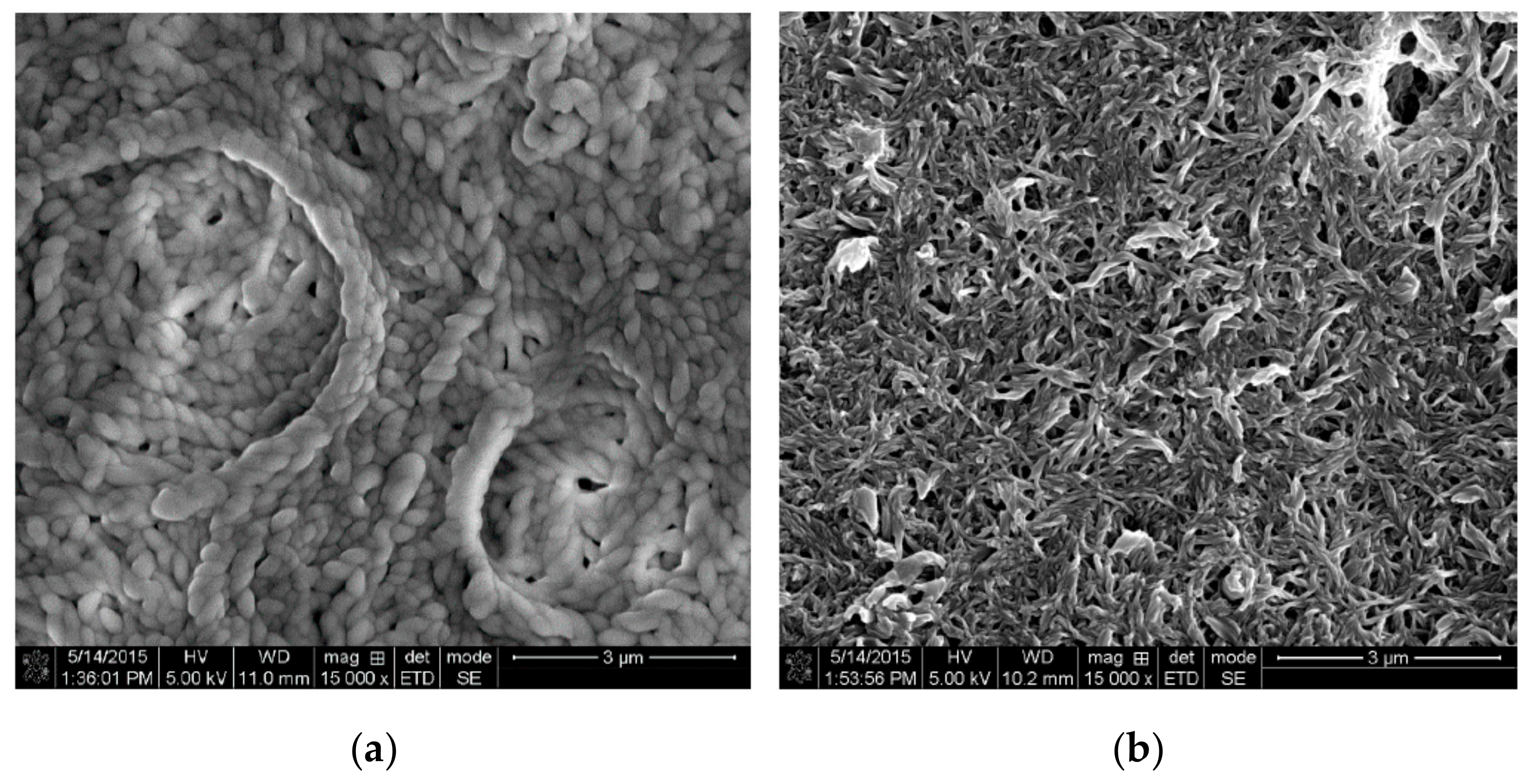 Lubricants 07 00082 g002