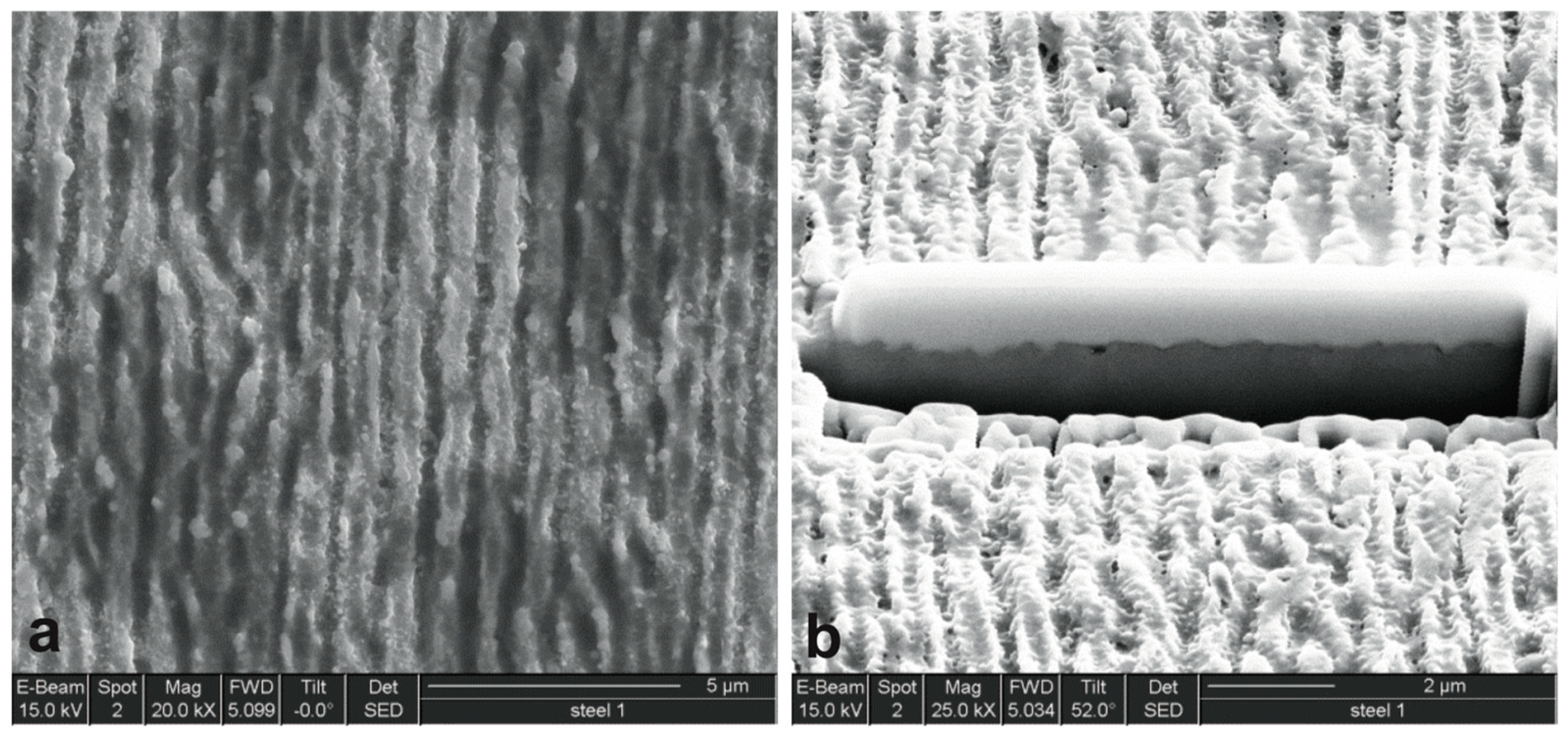 Lubricants 07 00083 g004