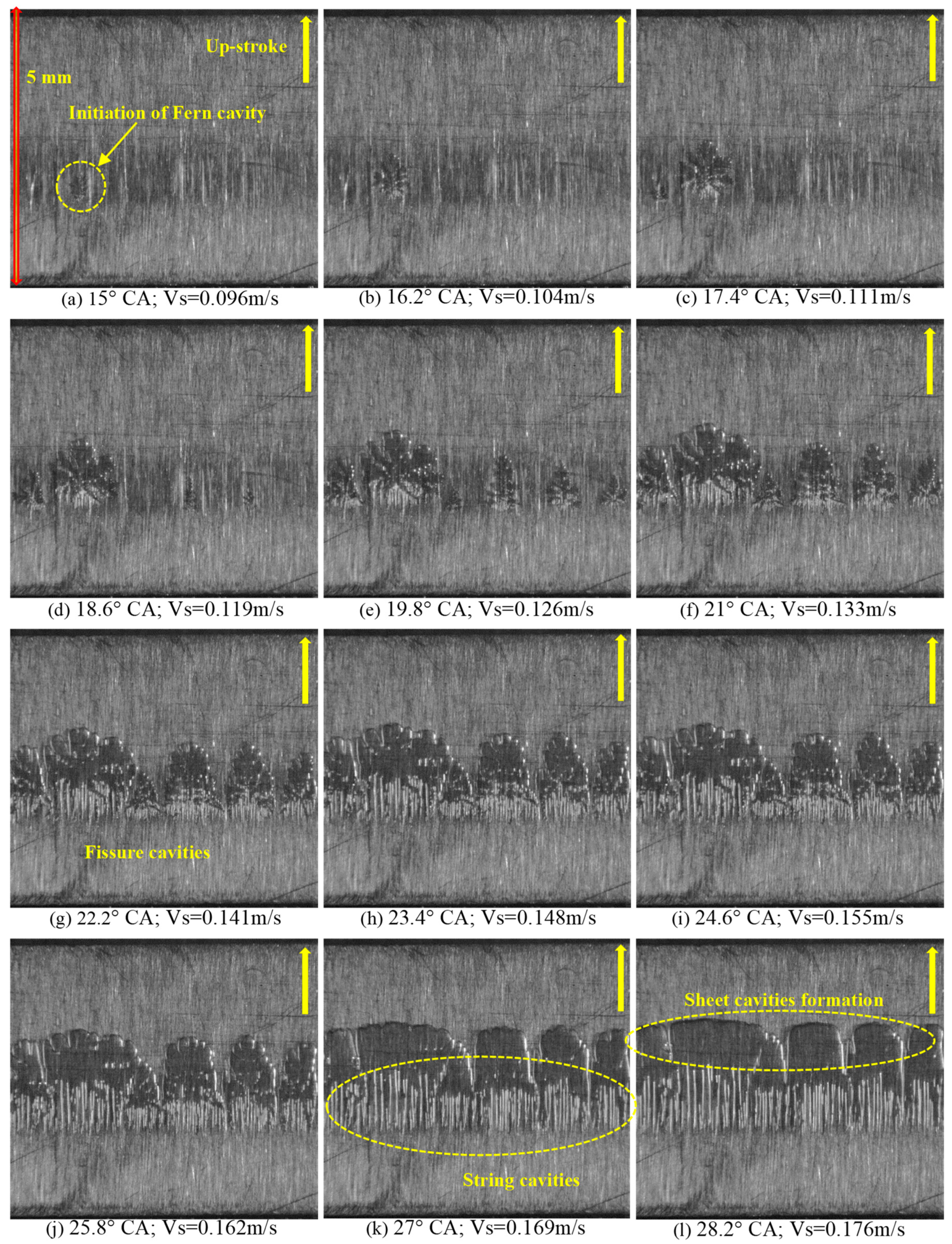 Lubricants 07 00088 g006