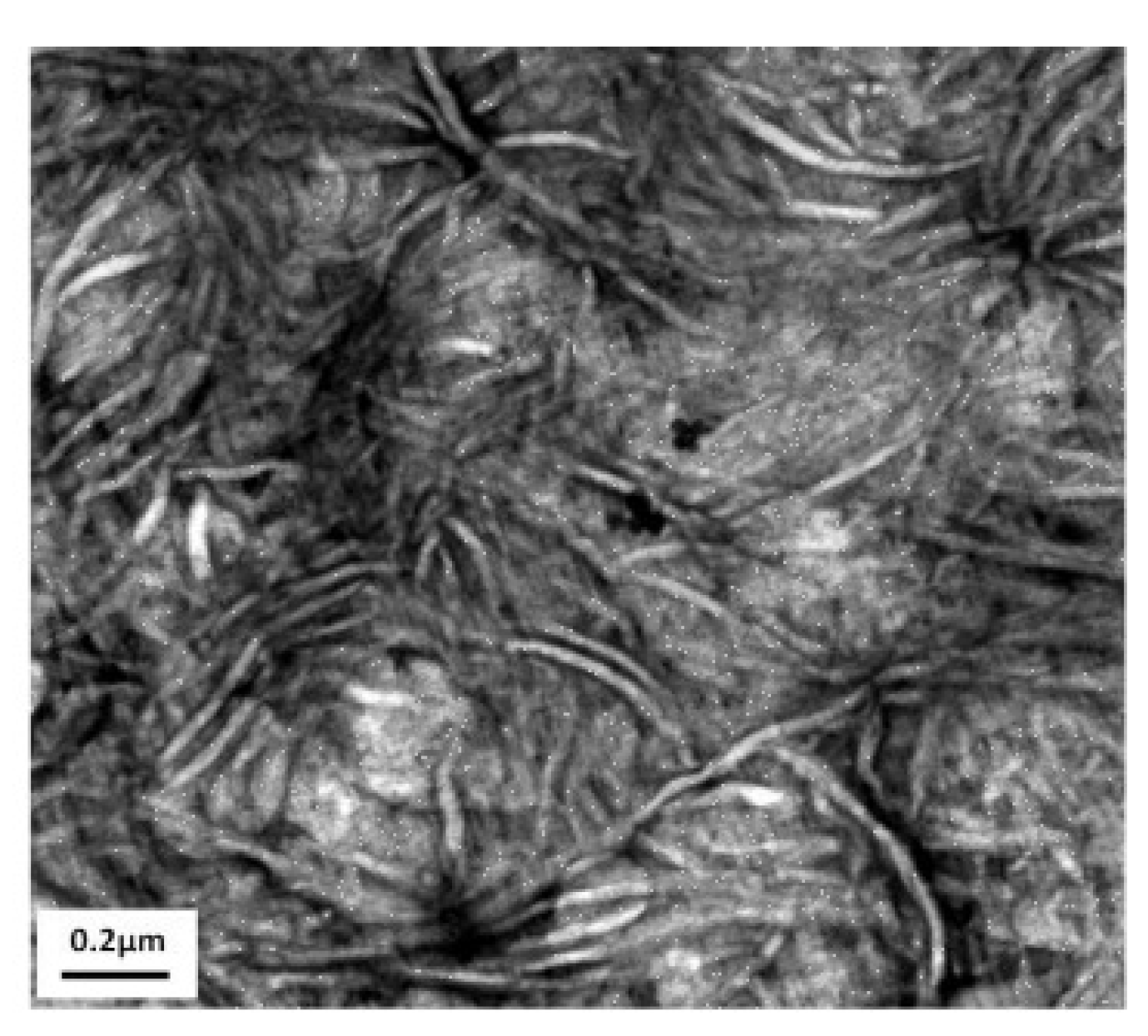 Lubricants 07 00090 g010