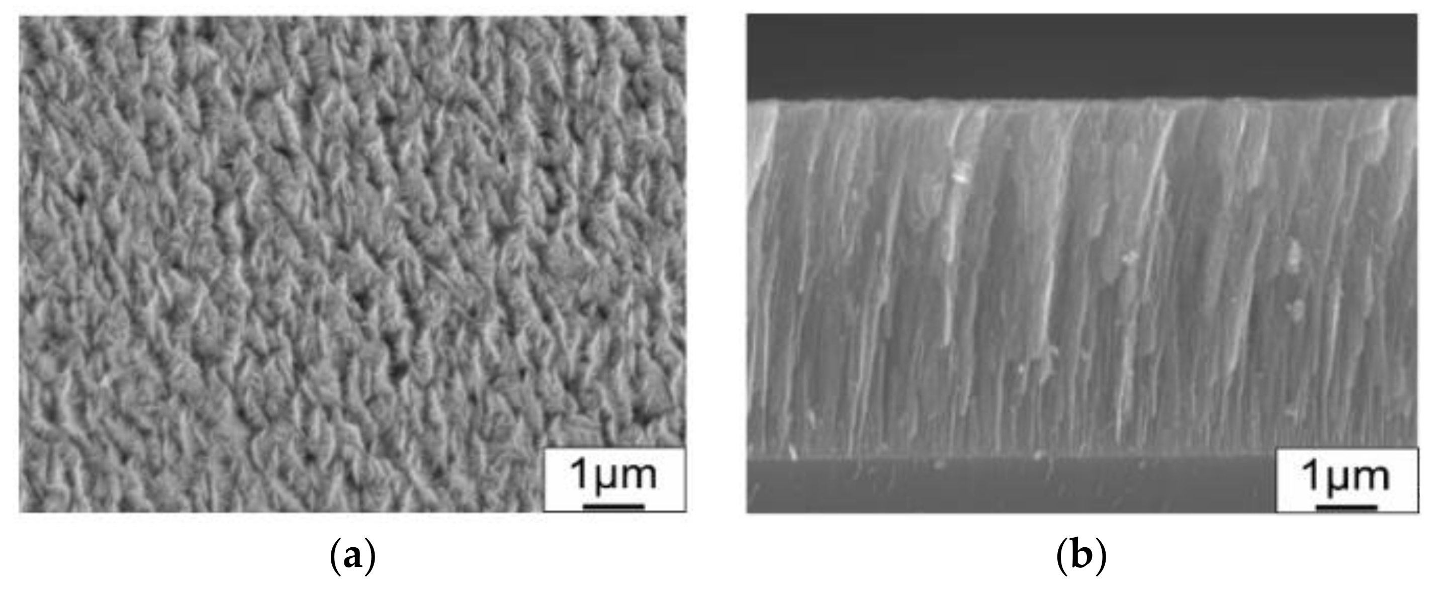 Lubricants 07 00100 g001