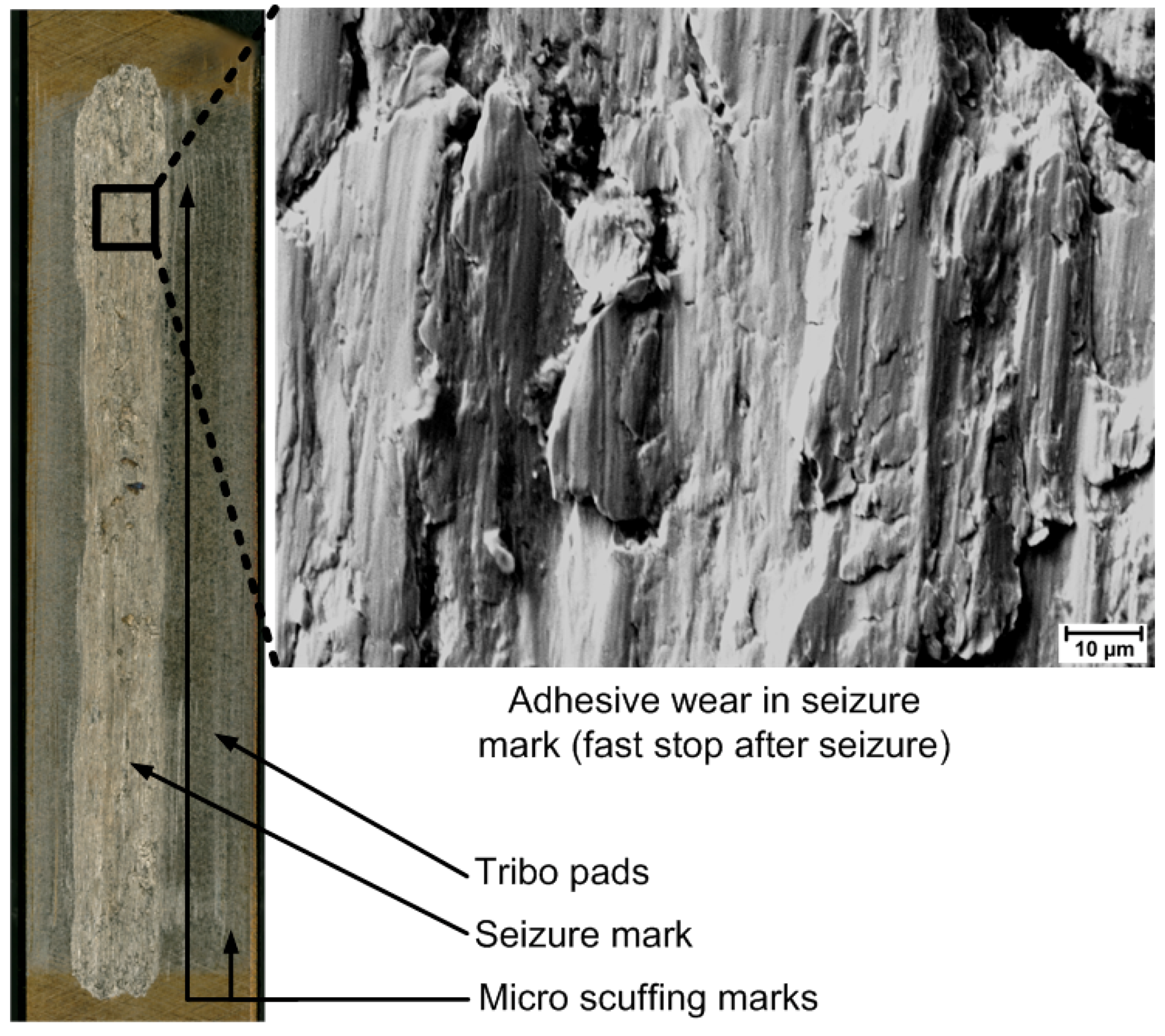 Lubricants 07 00104 g010