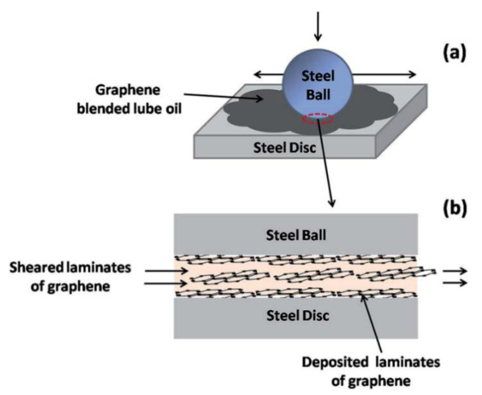 Lubricants 08 00031 g002