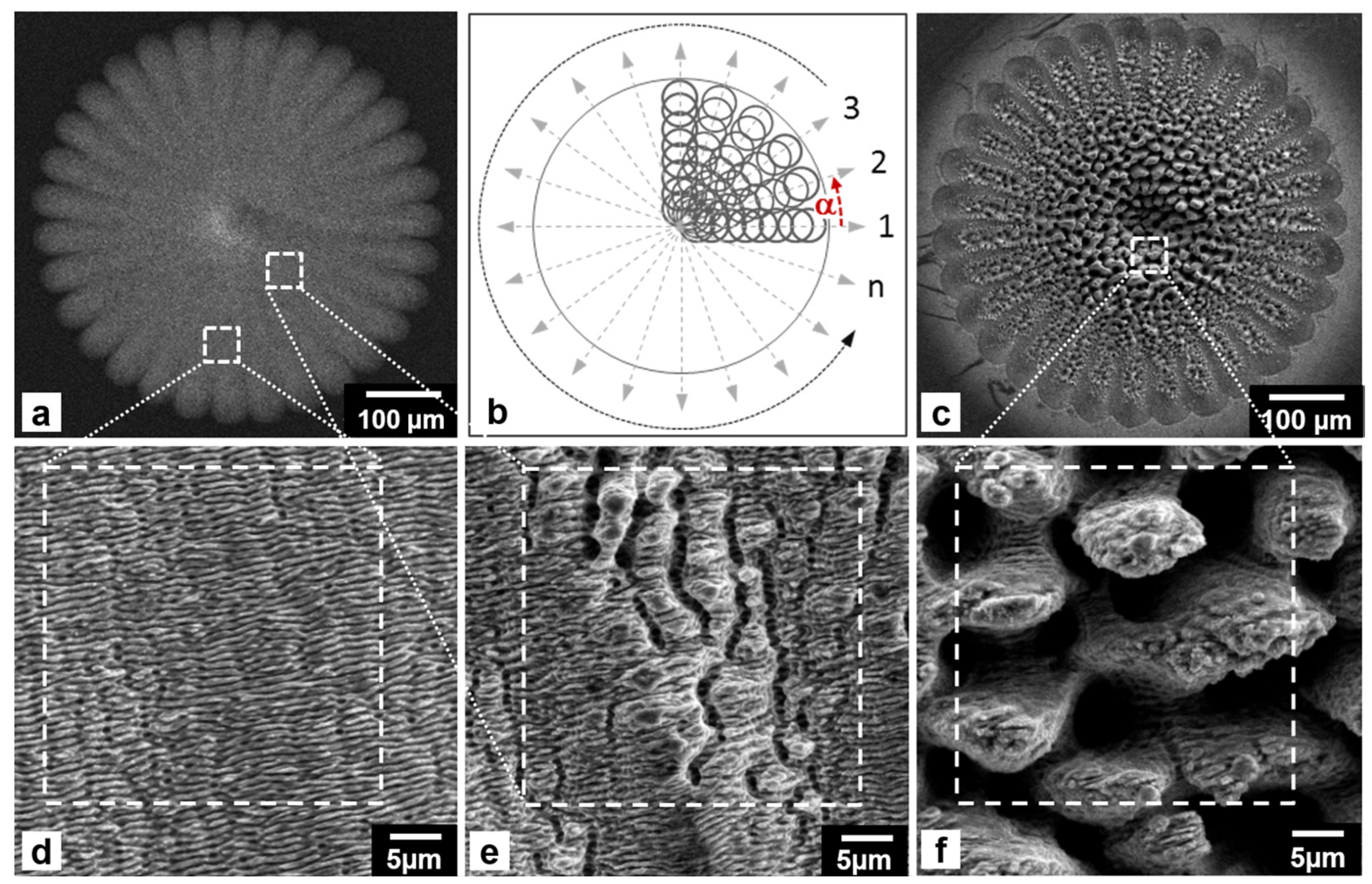 Lubricants 08 00033 g006