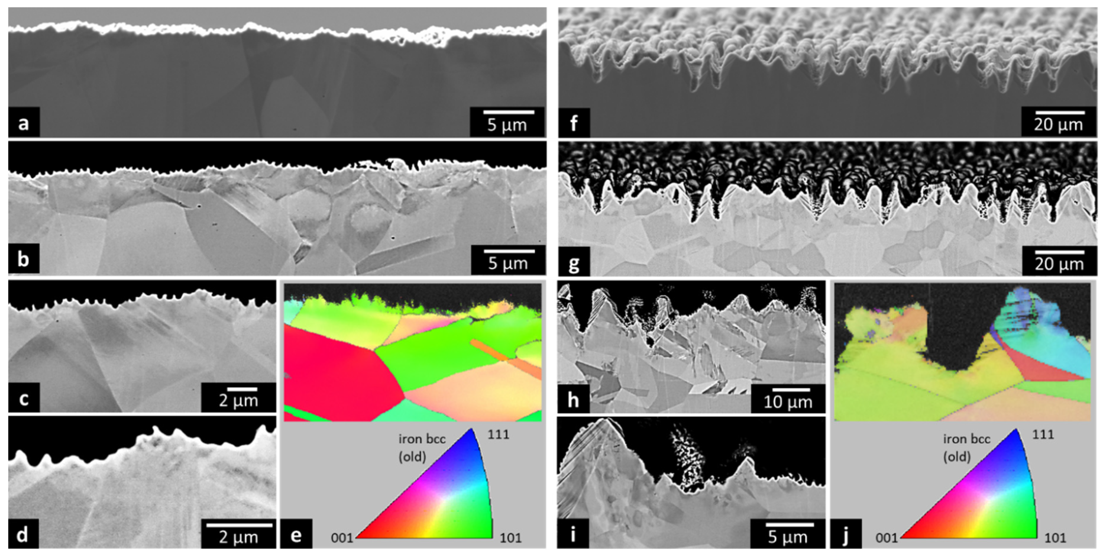 Lubricants 08 00033 g007