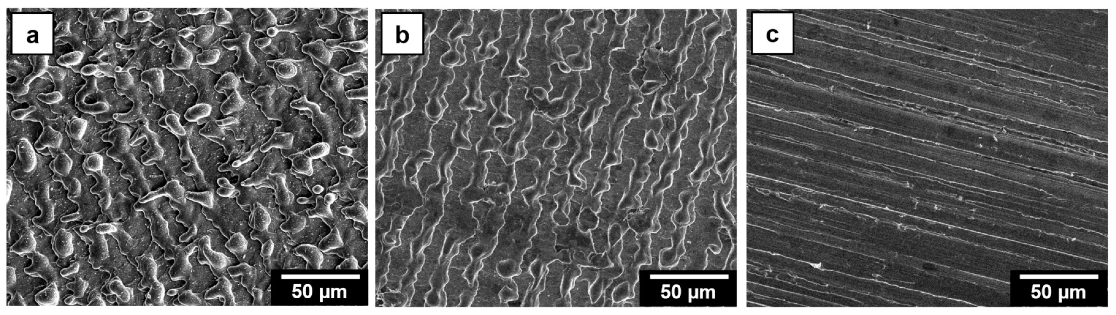 Lubricants 08 00033 g012a