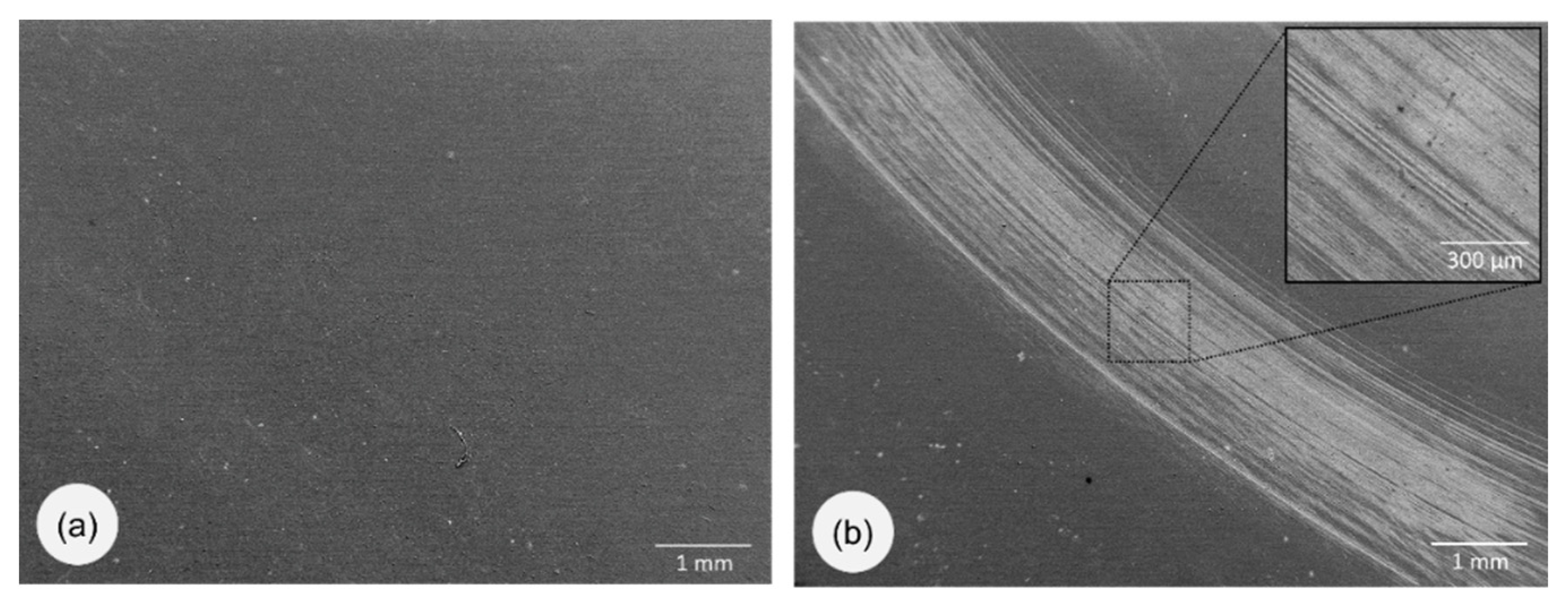 Lubricants 08 00036 g007