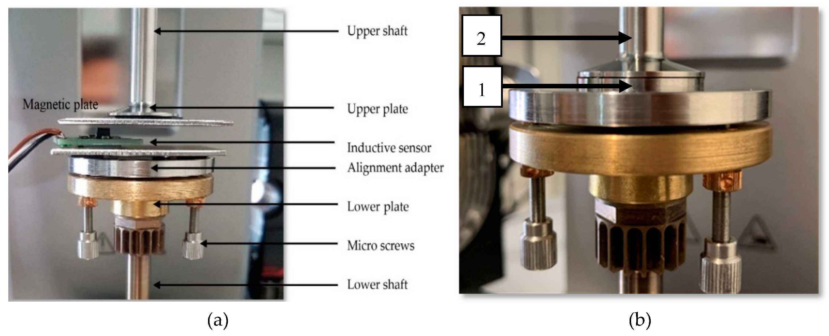 Lubricants 08 00045 g002