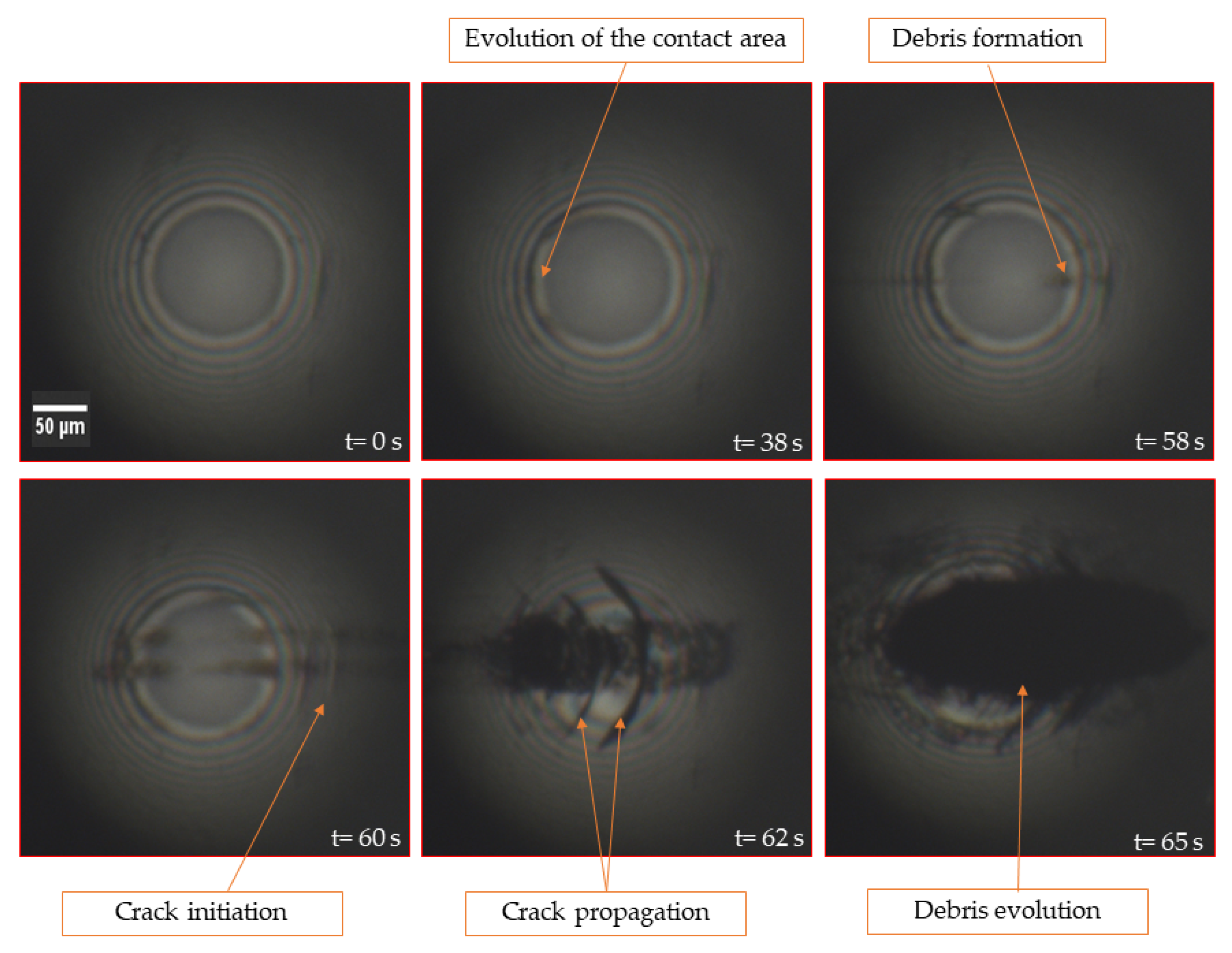Lubricants 08 00047 g006