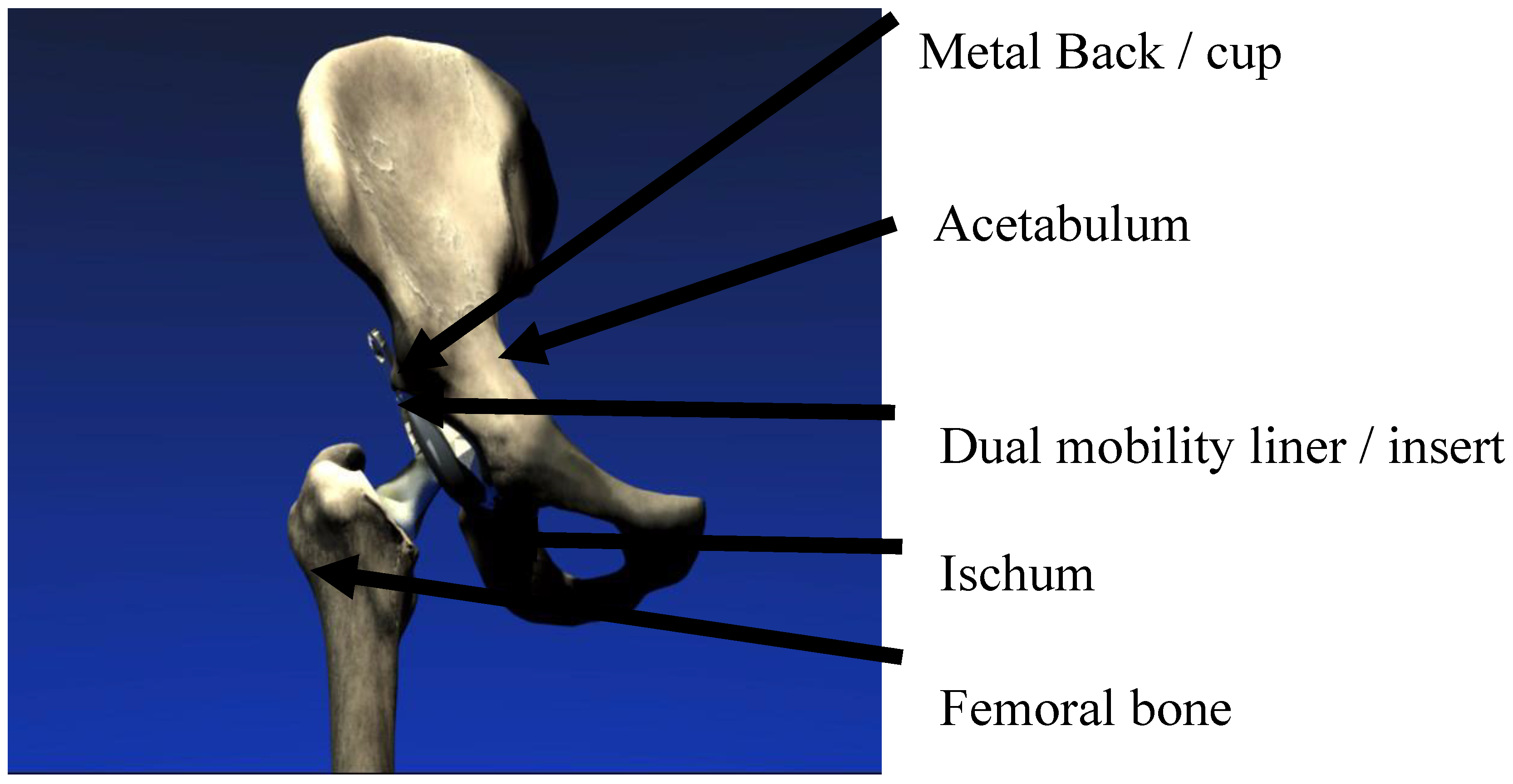 Lubricants 08 00055 g001