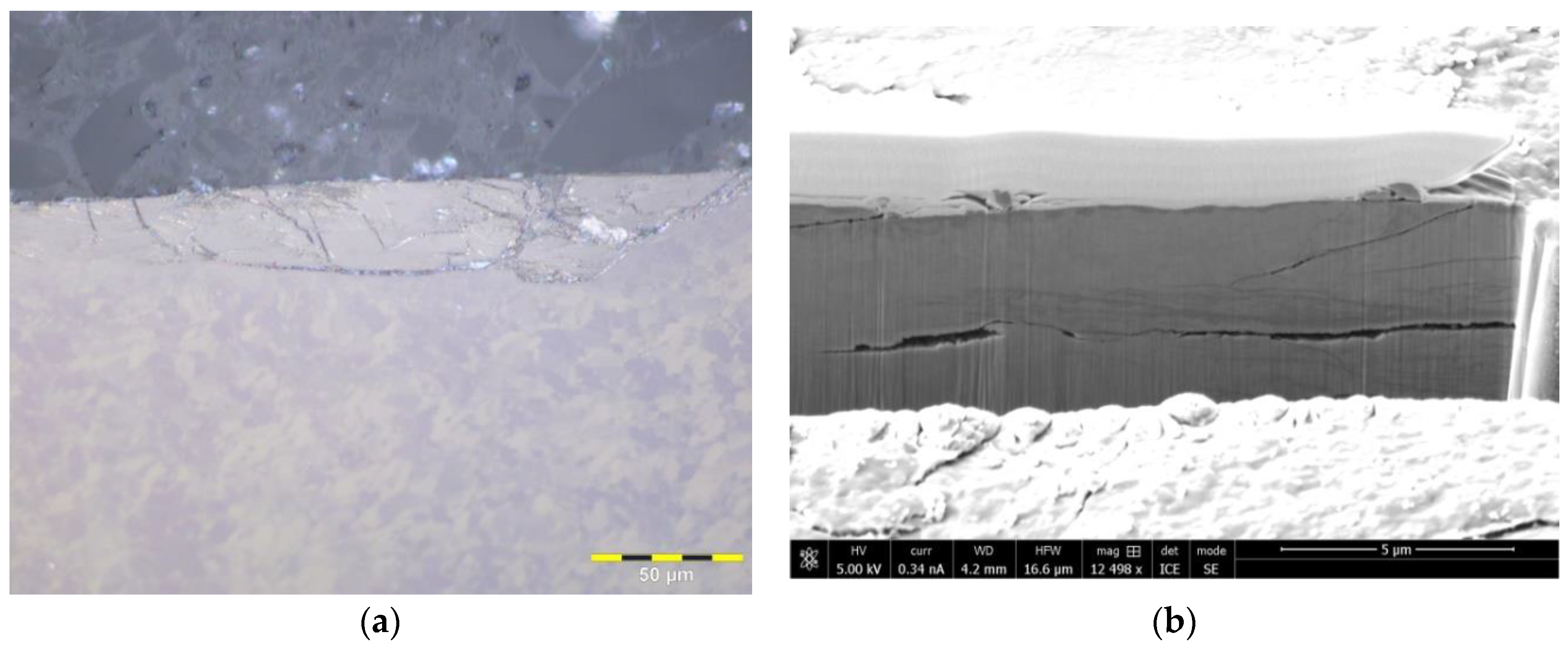 Lubricants 08 00055 g005