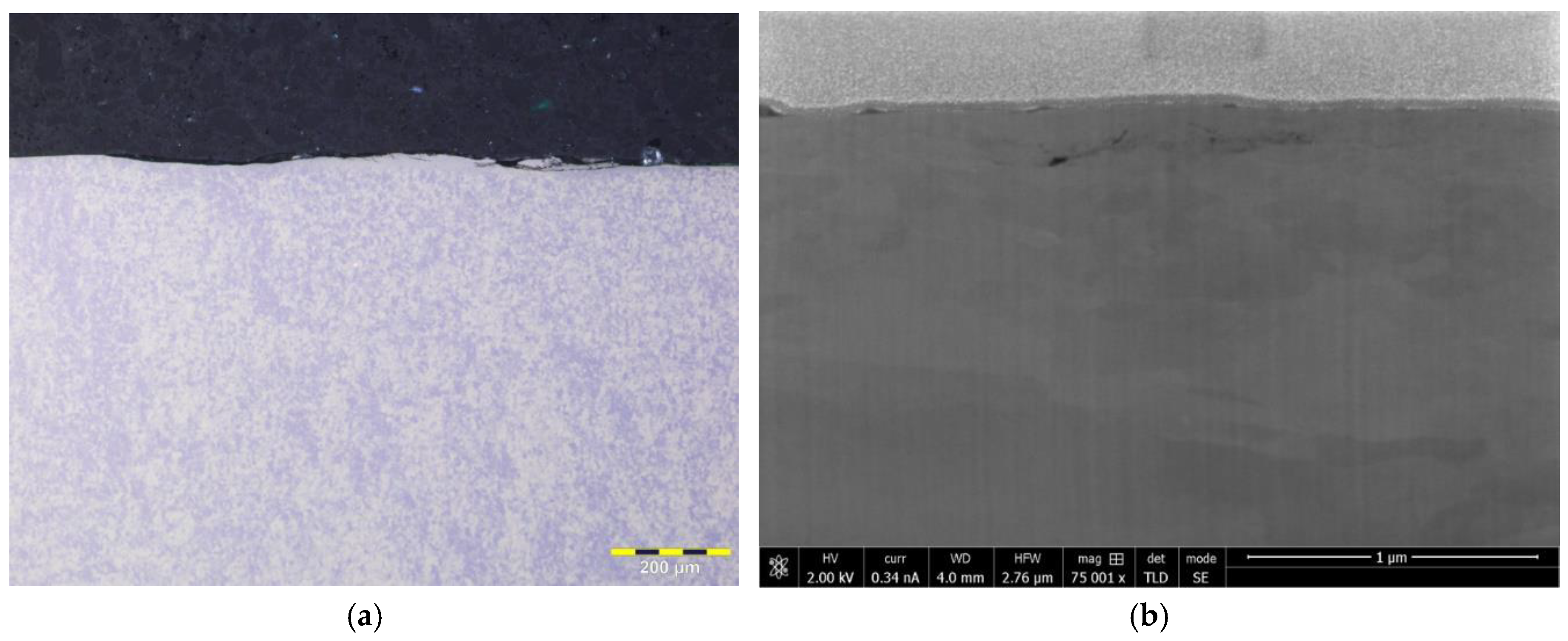 Lubricants 08 00055 g006