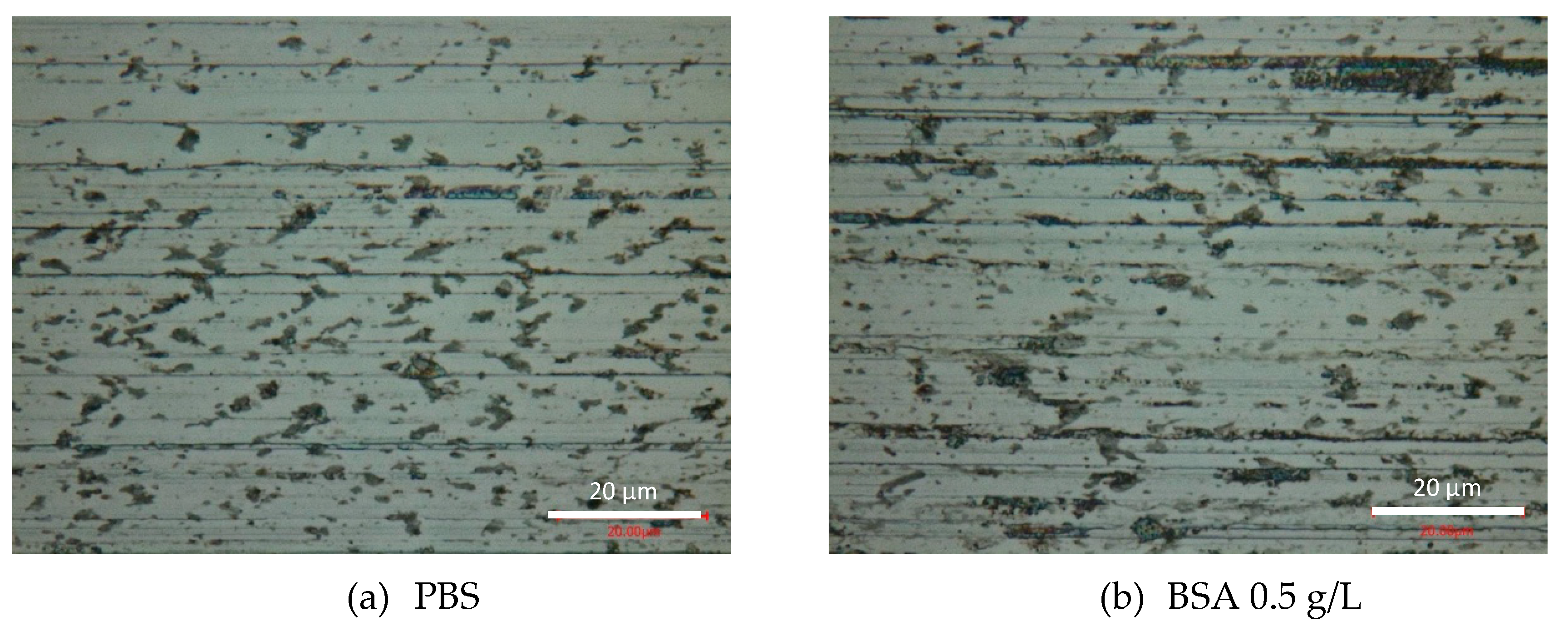 Lubricants 08 00061 g006a