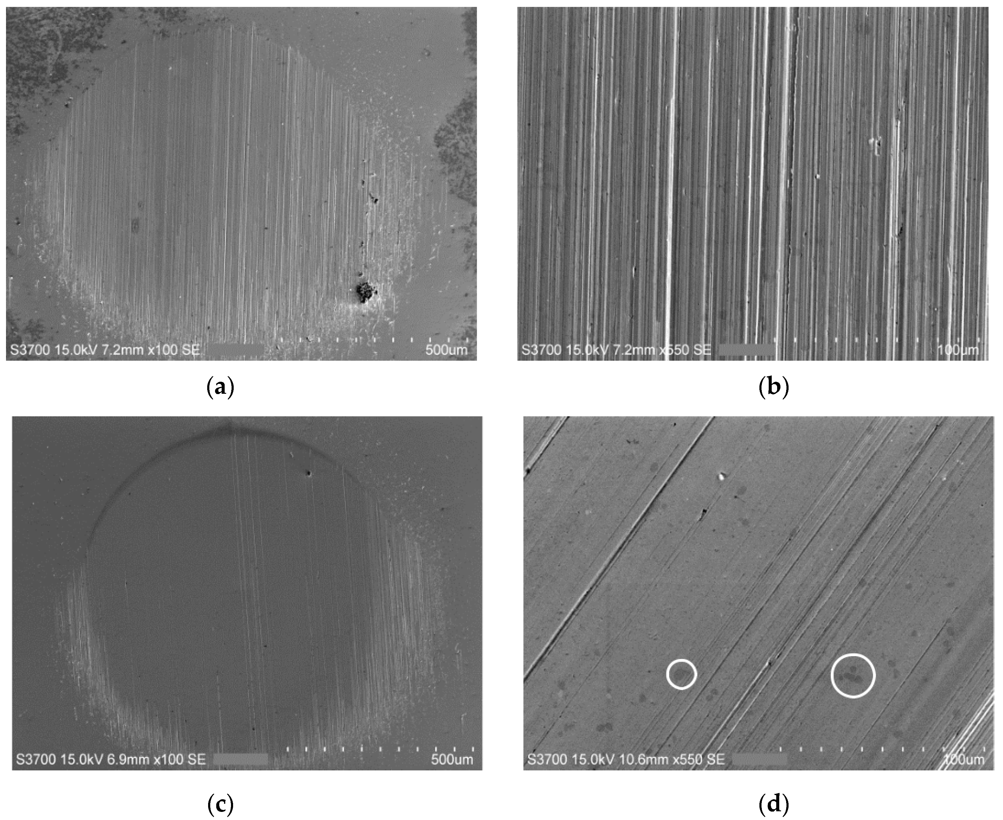 Lubricants 08 00071 g003