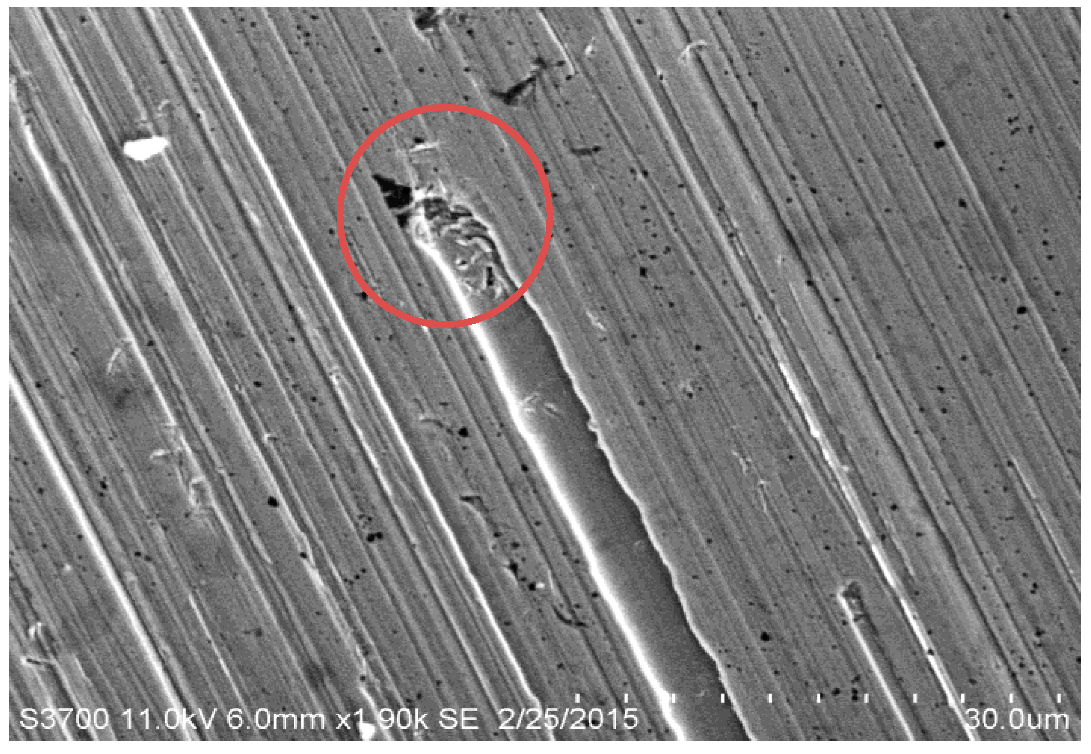 Lubricants 08 00071 g012