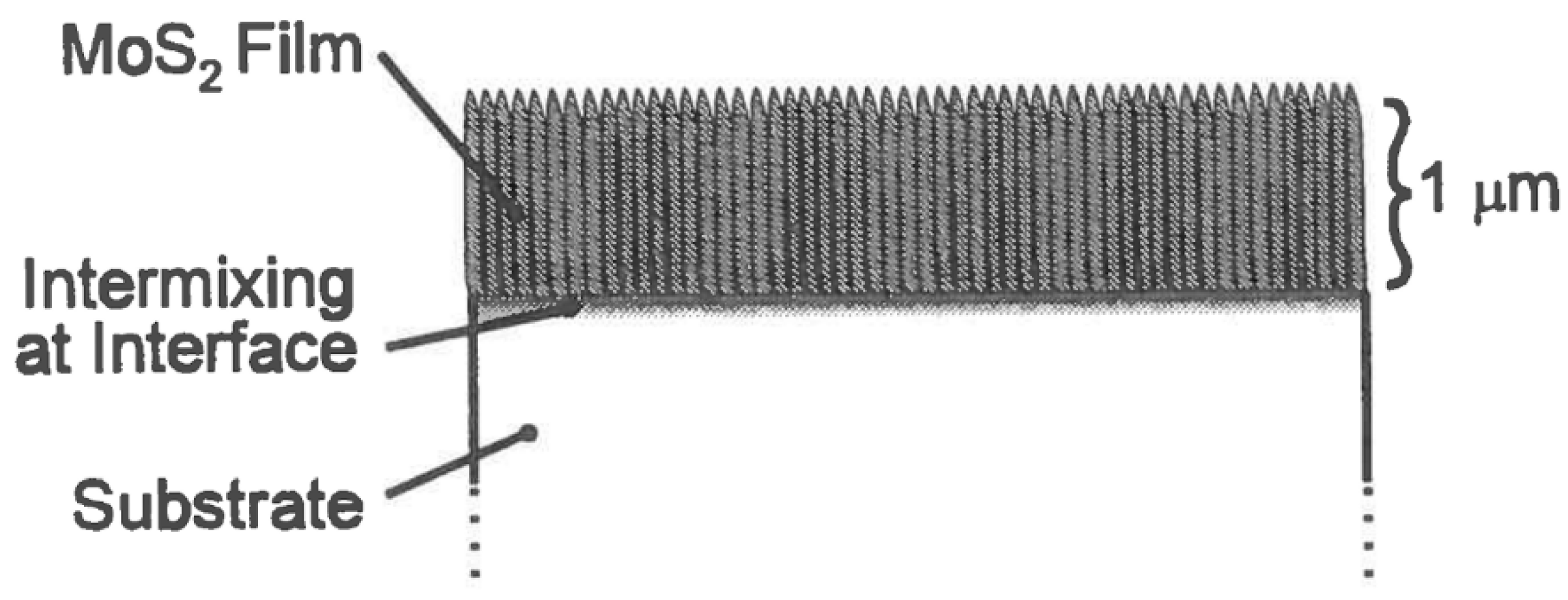 Lubricants 08 00074 g004