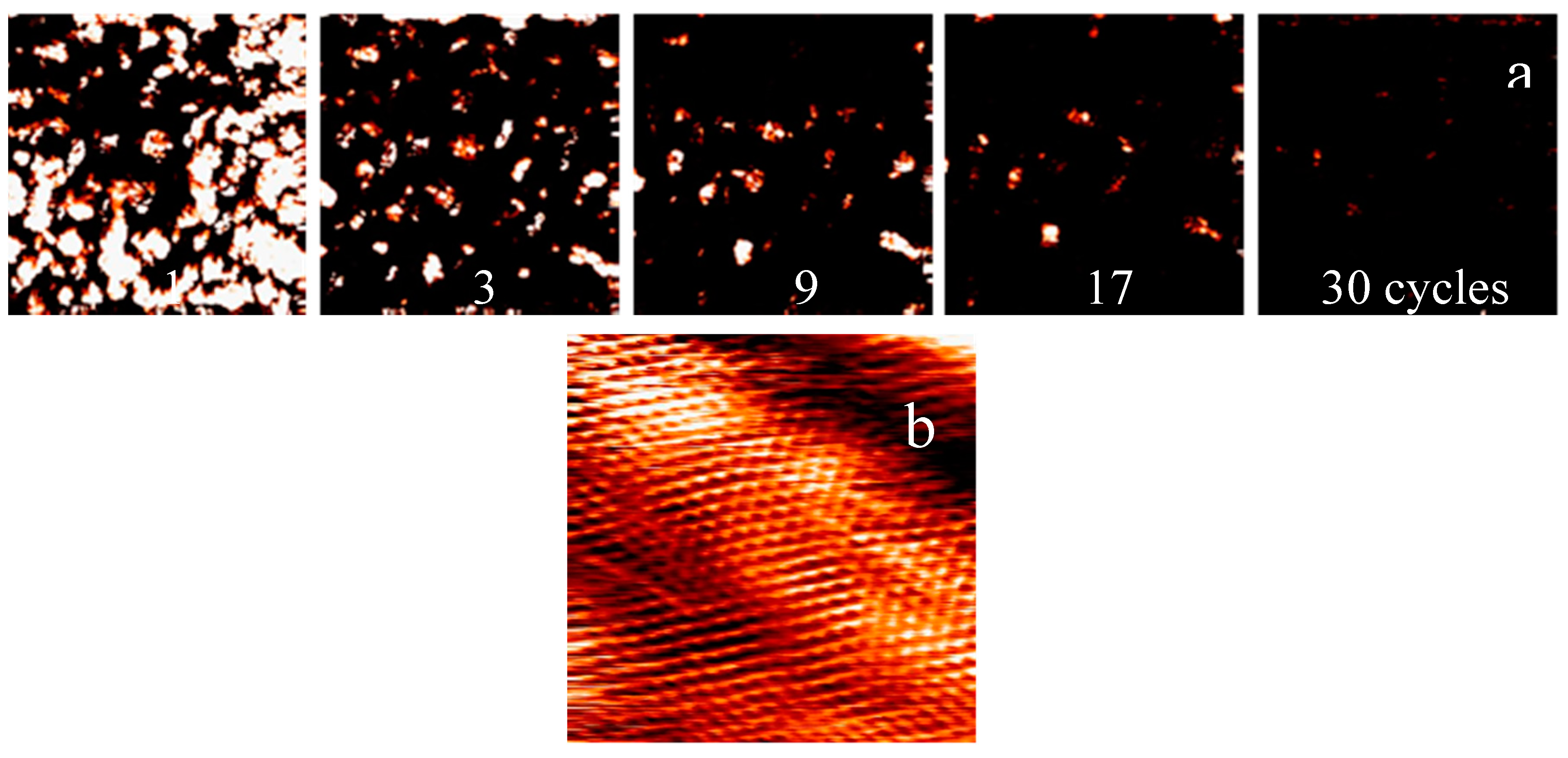 Lubricants 08 00074 g006