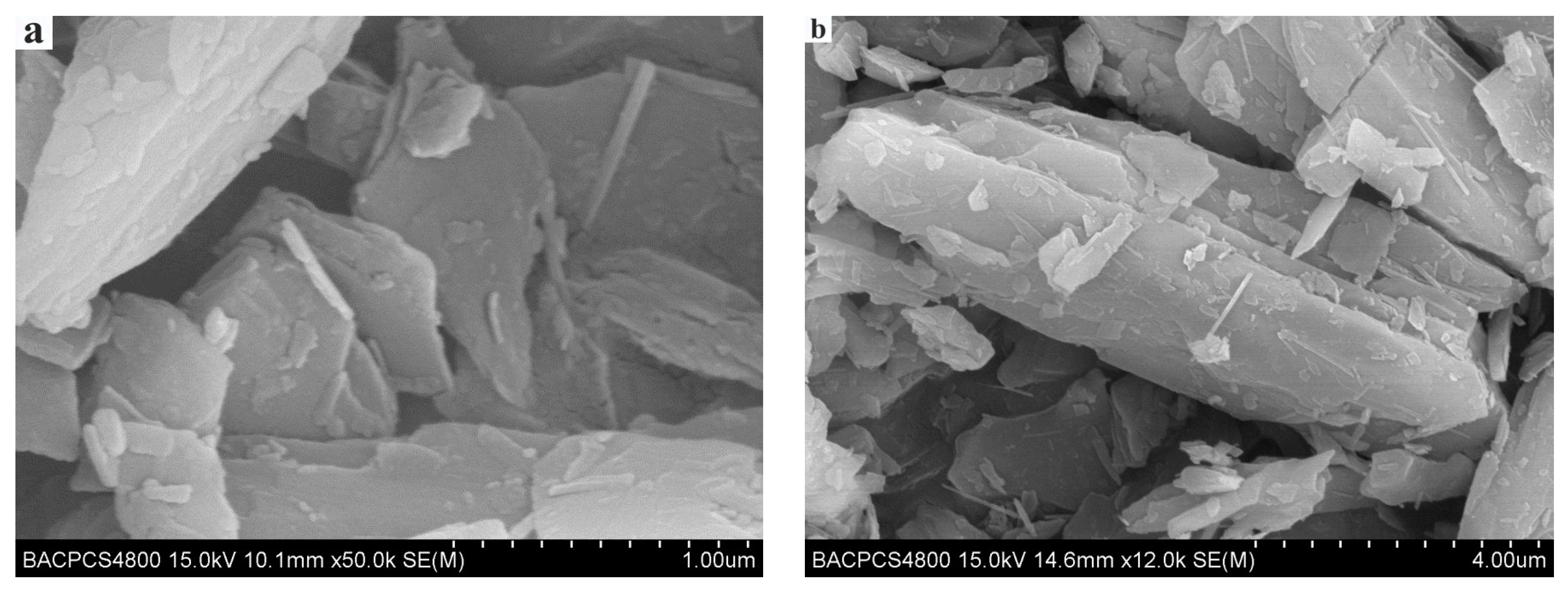 Lubricants 08 00093 g002