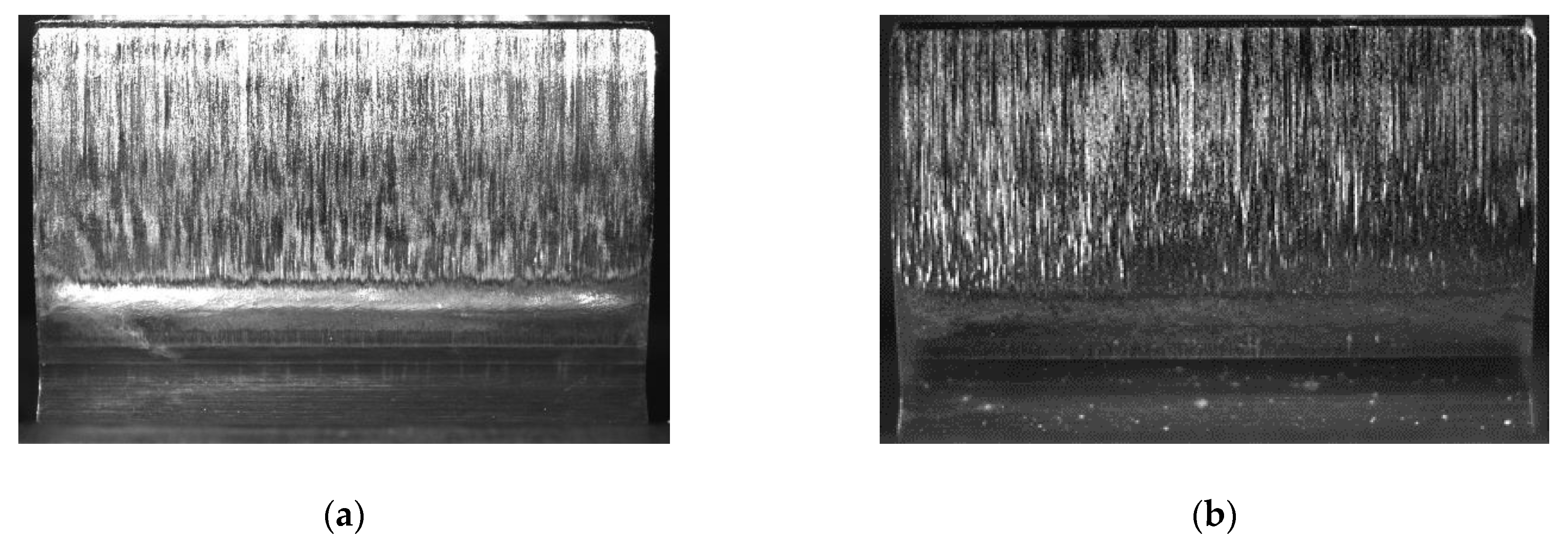 Lubricants 09 00024 g005 Lubricants 09 00024 g005