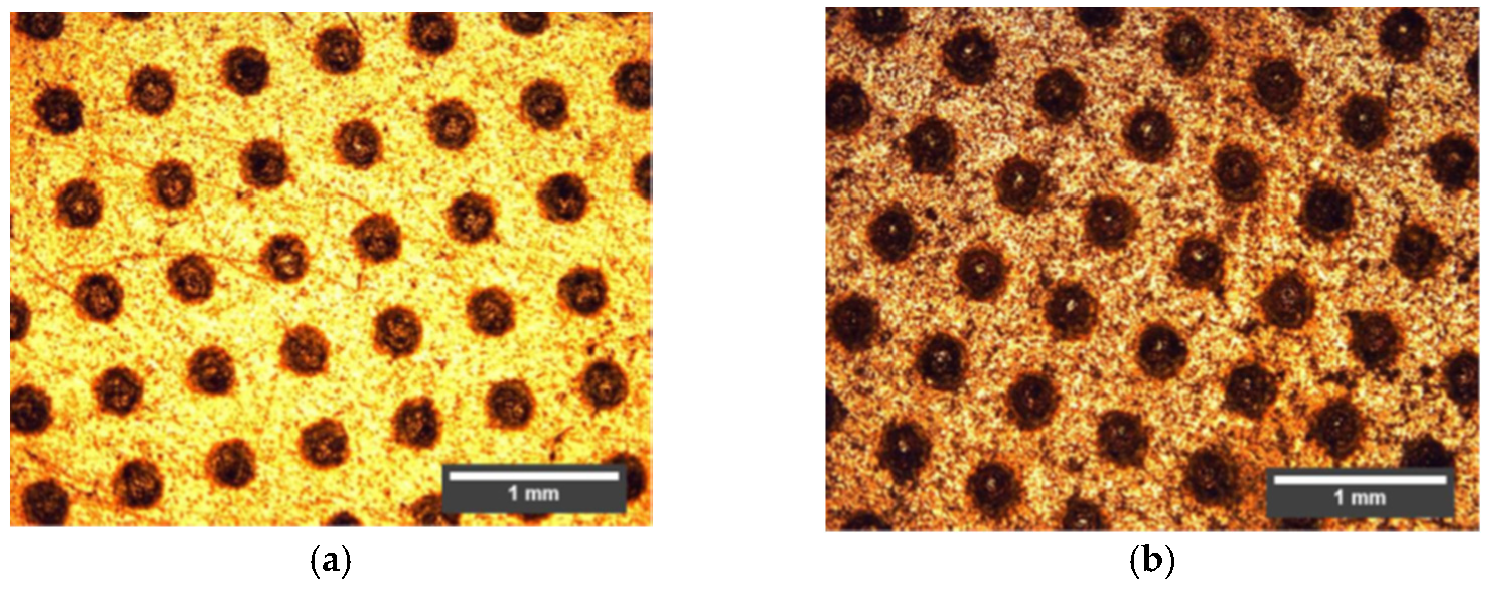 Lubricants 09 00034 g005