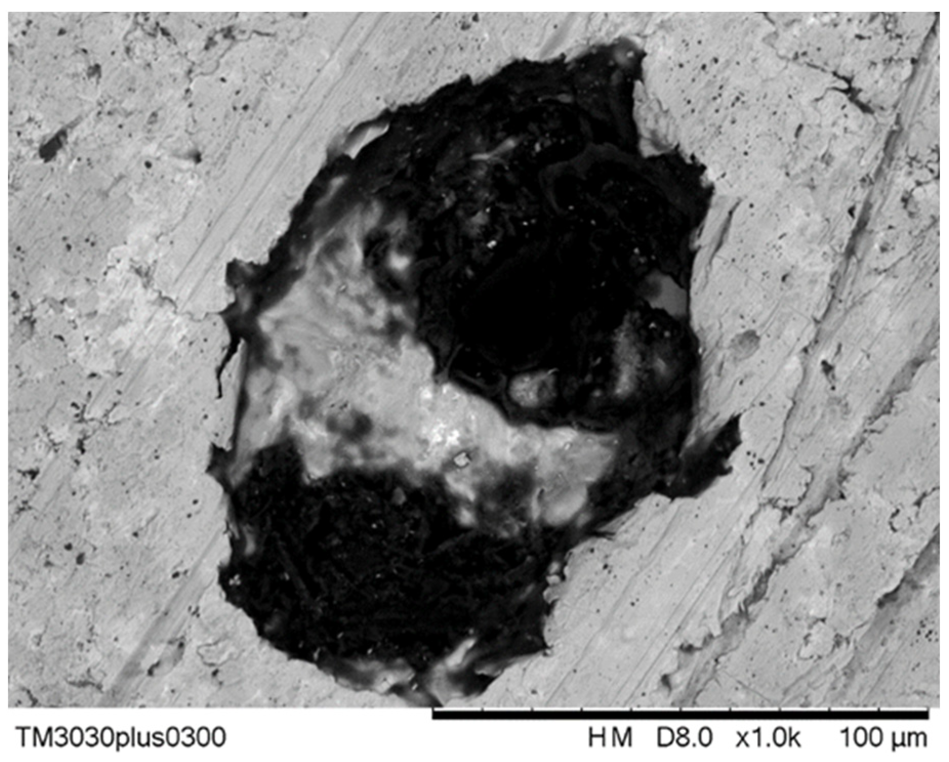 Lubricants 09 00034 g011