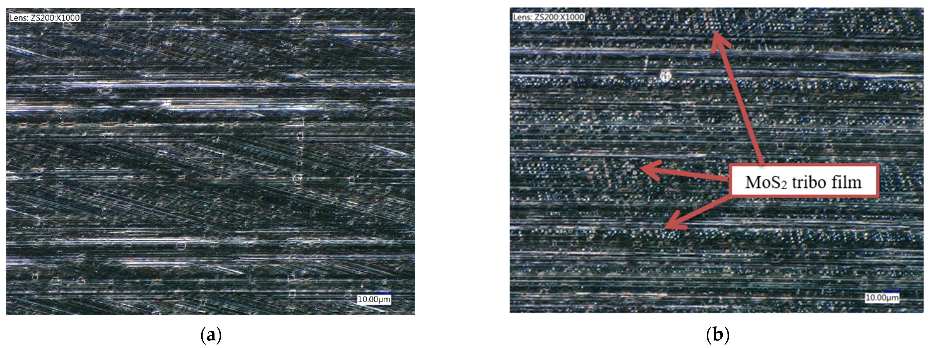 Lubricants 09 00045 g009