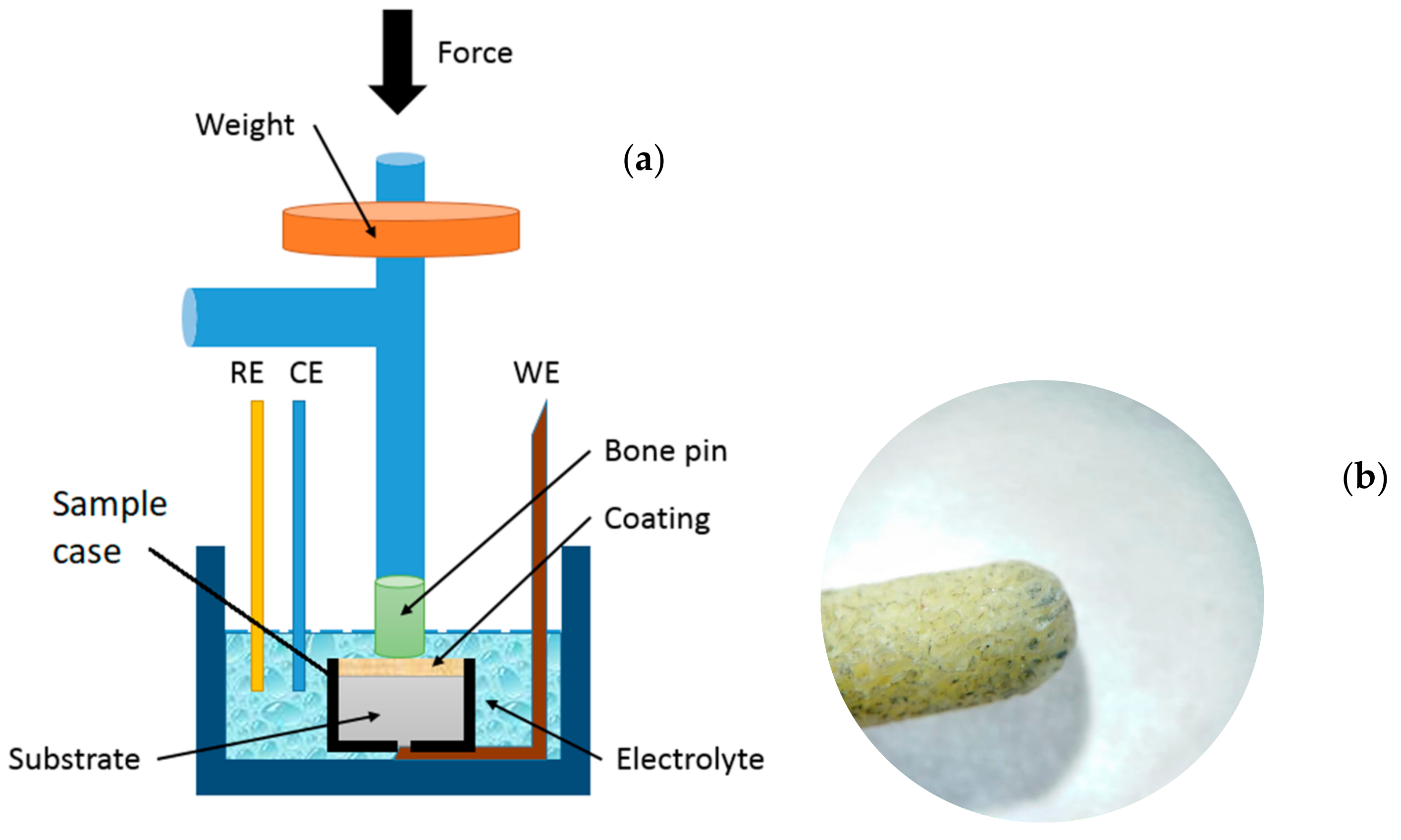 Lubricants 09 00049 g002
