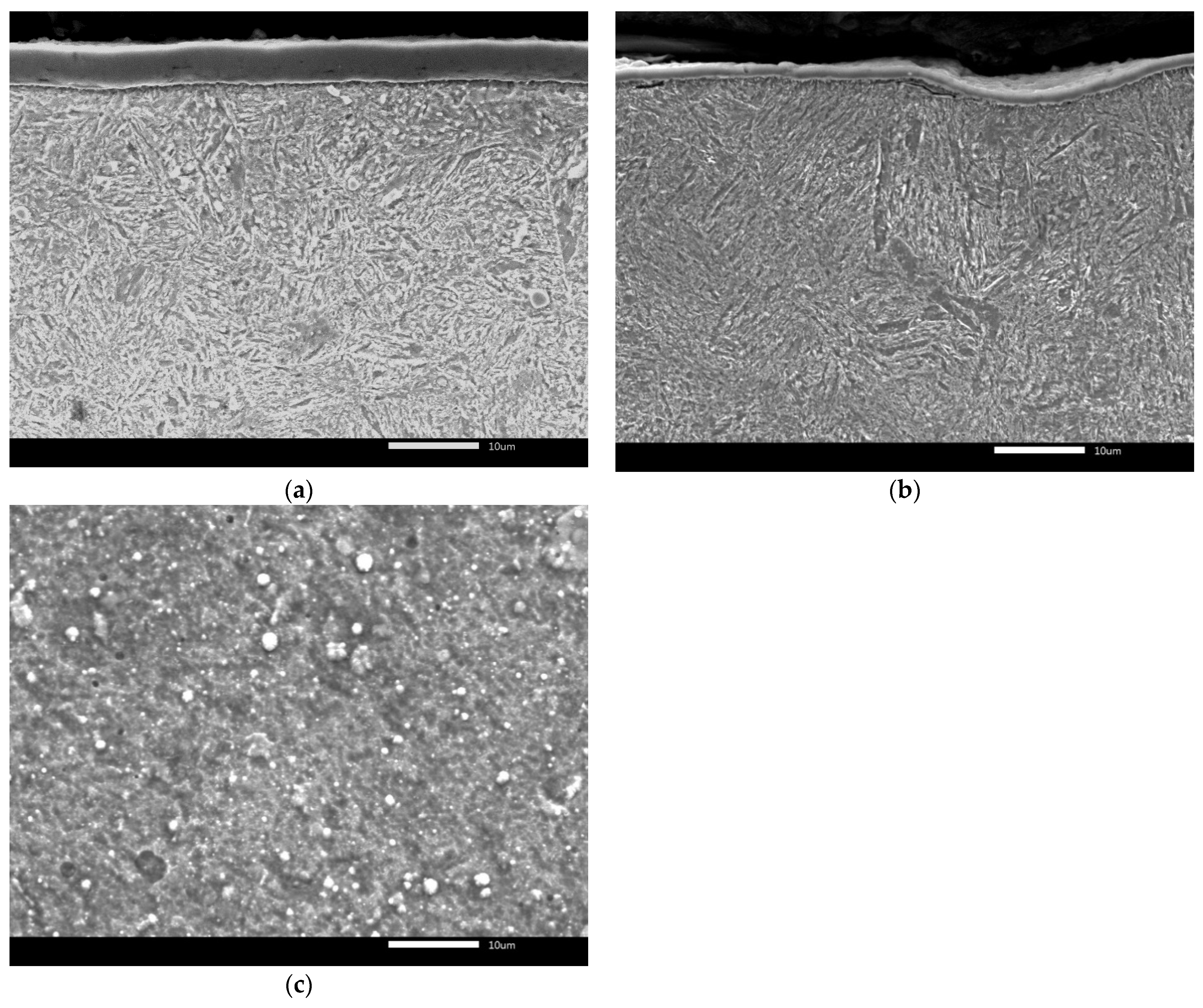 Lubricants 09 00054 g003