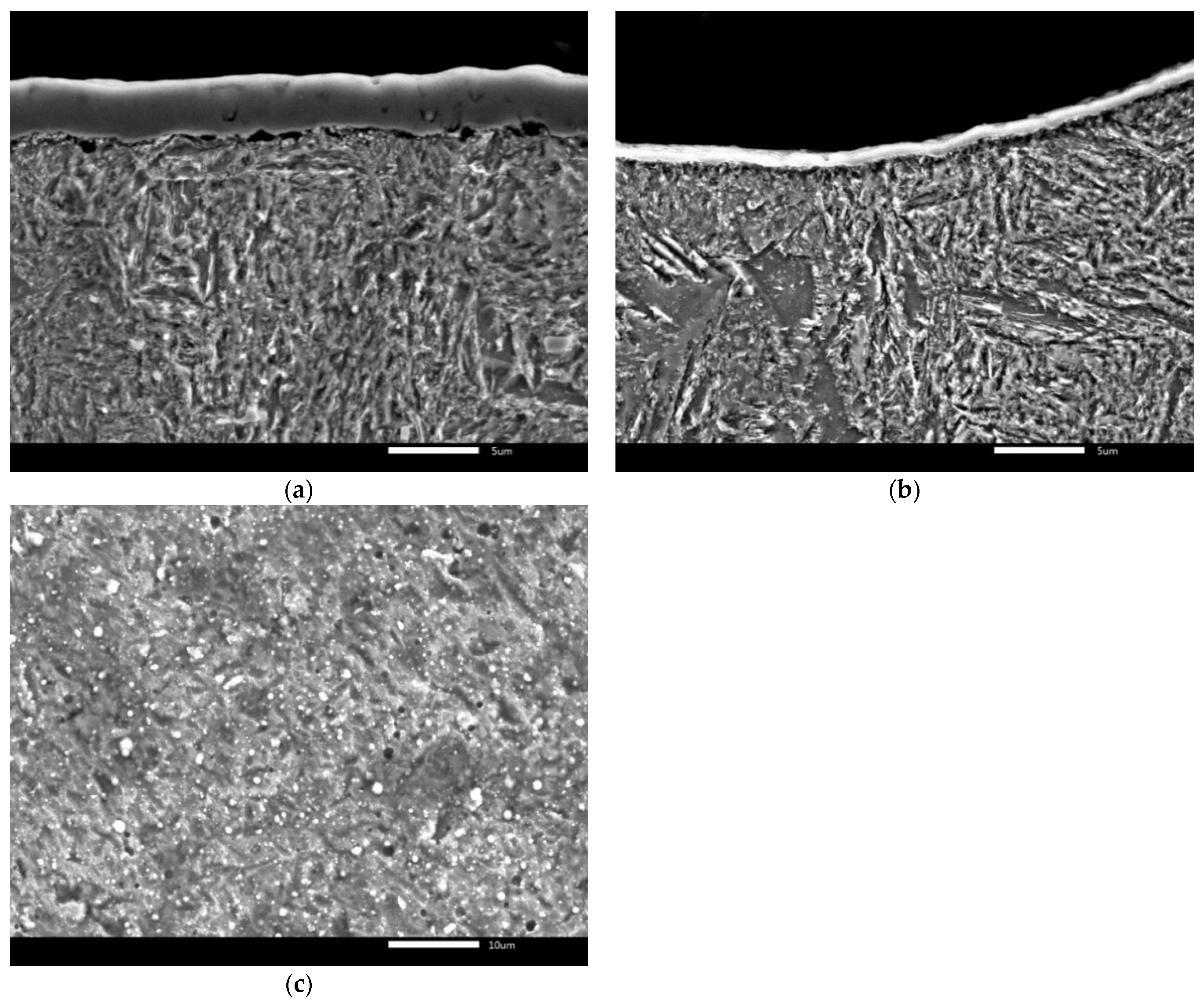 Lubricants 09 00054 g004