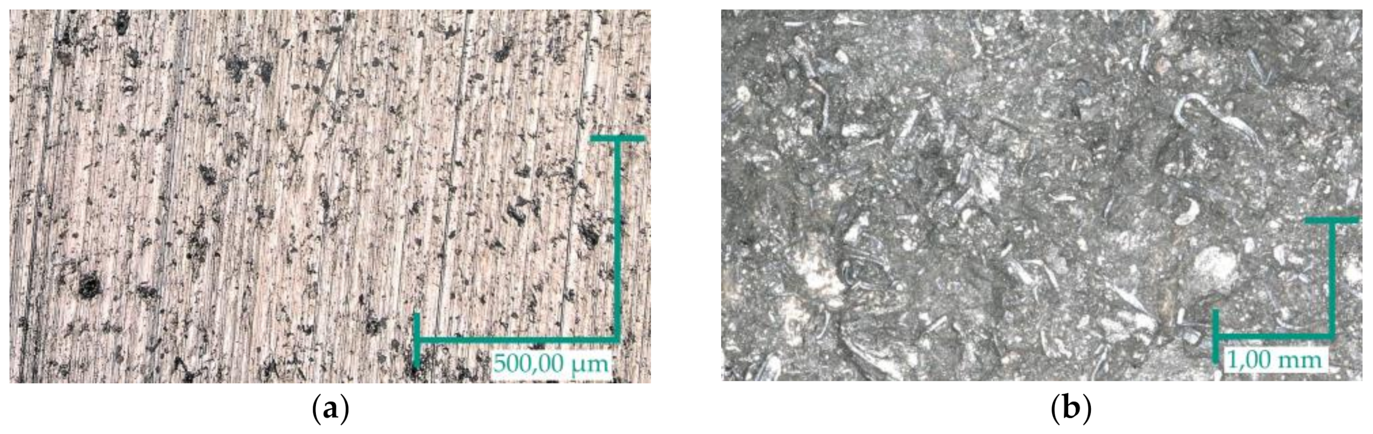 Lubricants 09 00077 g004