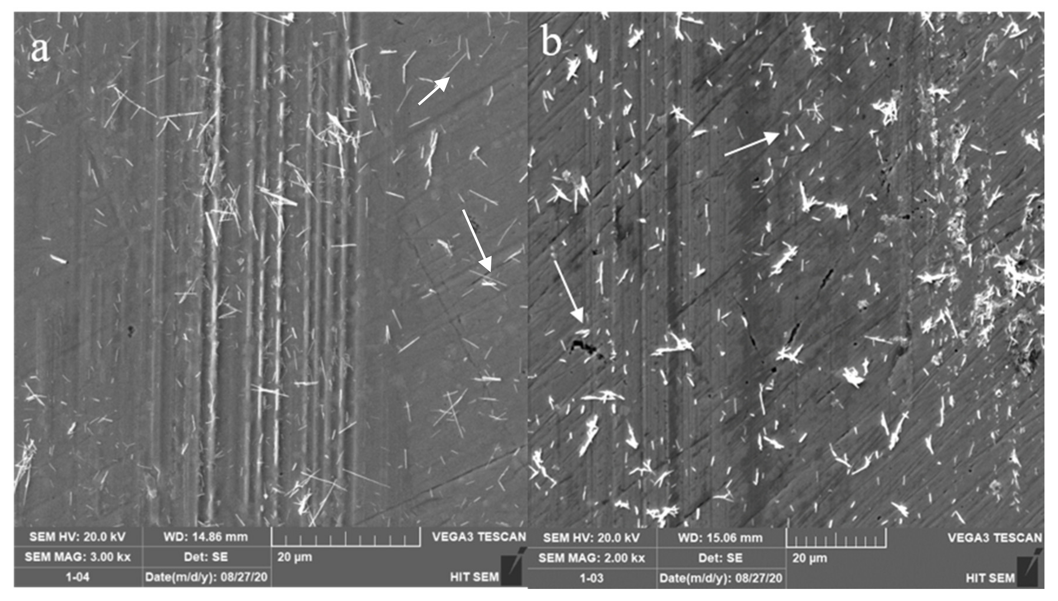 Lubricants 09 00078 g005