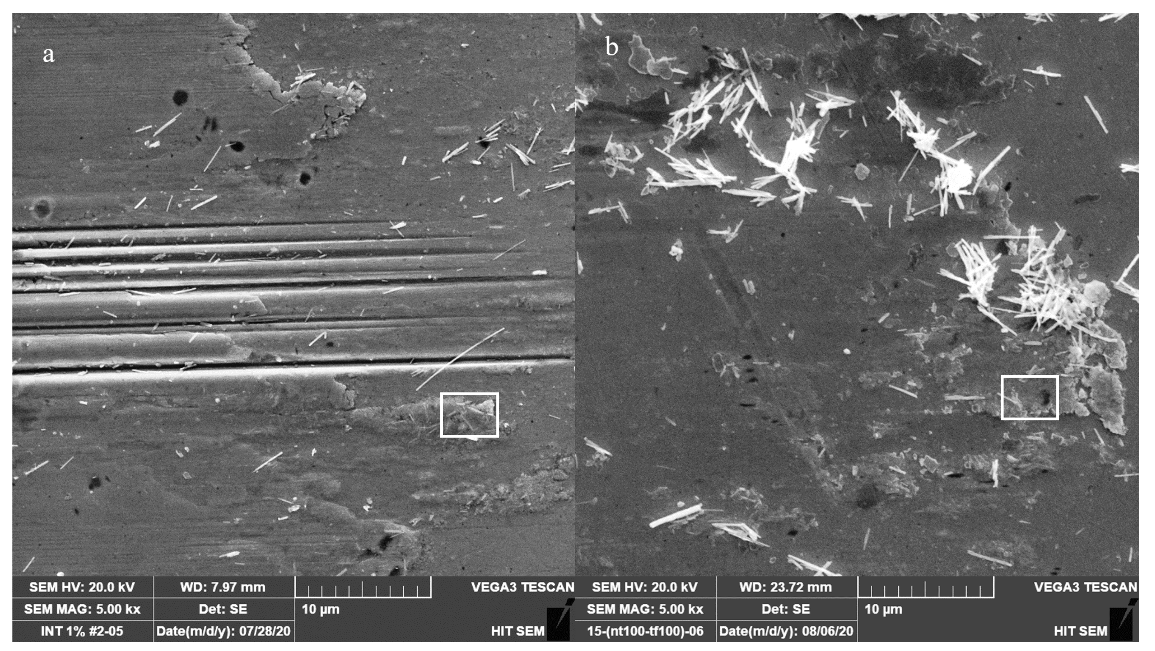 Lubricants 09 00078 g007