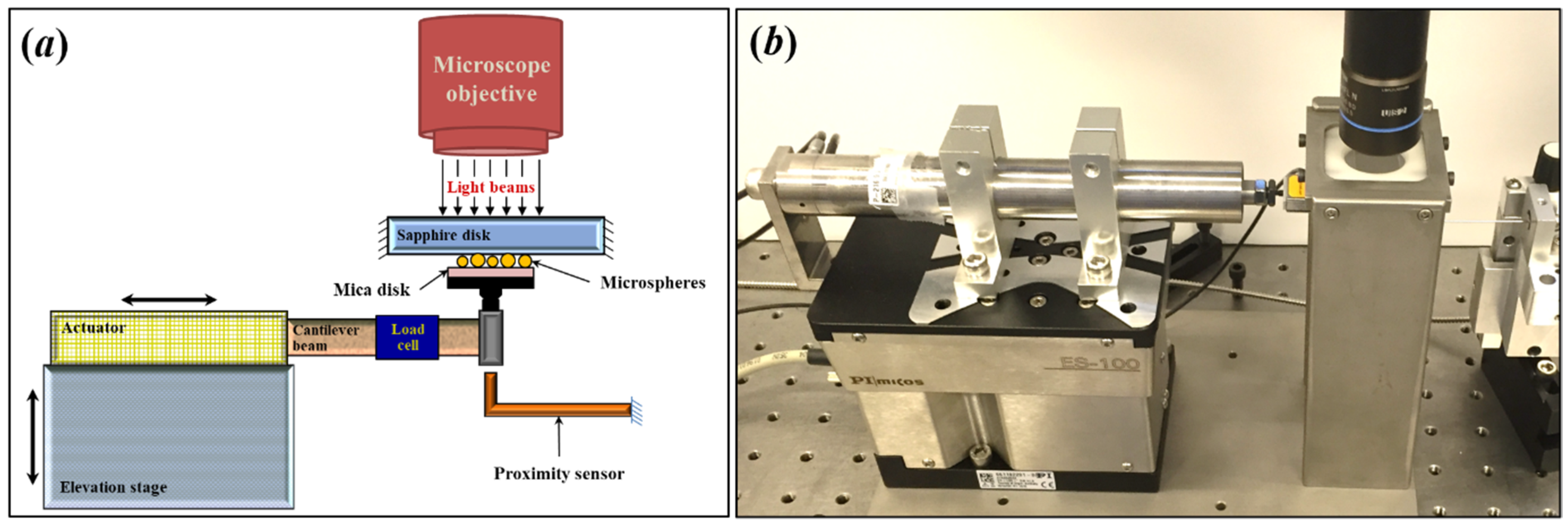 Lubricants 09 00081 g001