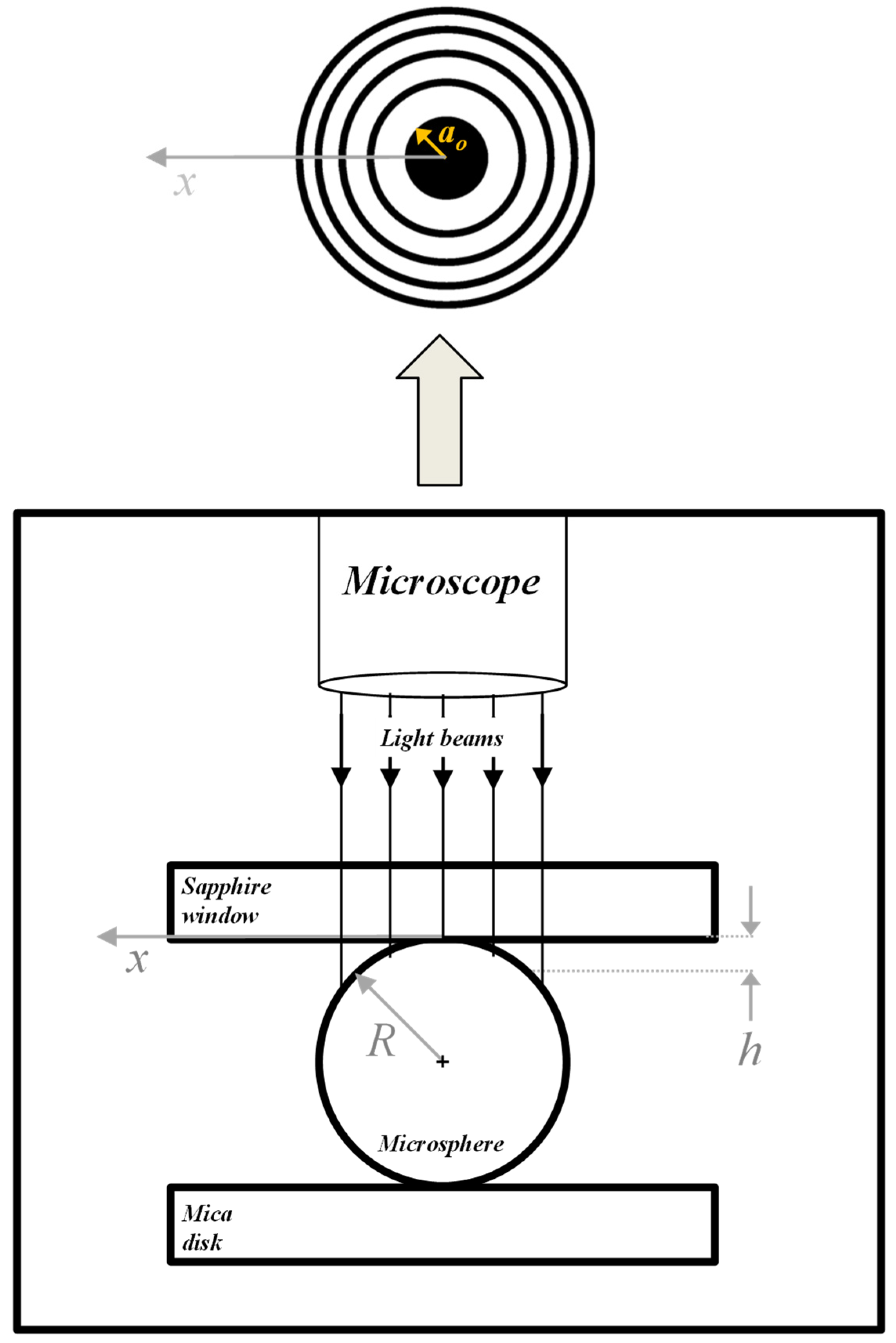 Lubricants 09 00081 g005