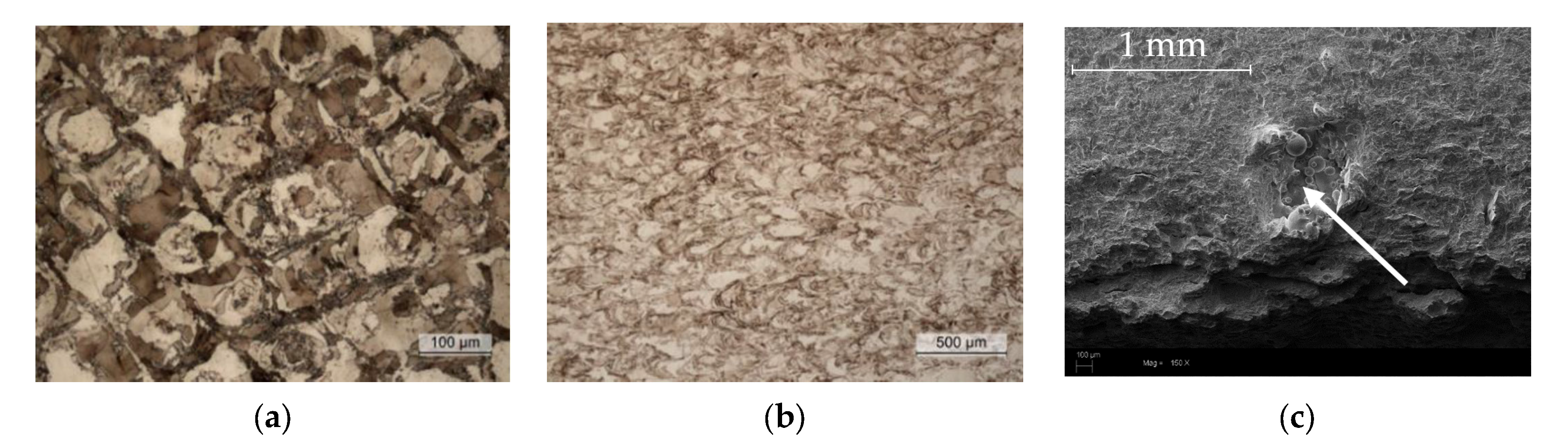 Lubricants 09 00083 g002