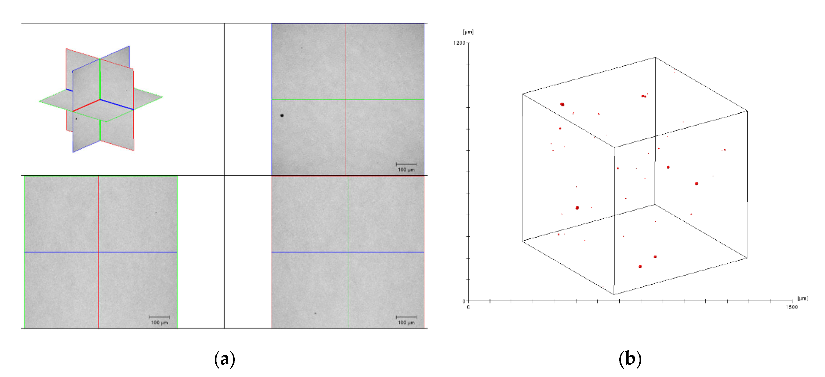 Lubricants 09 00083 g004
