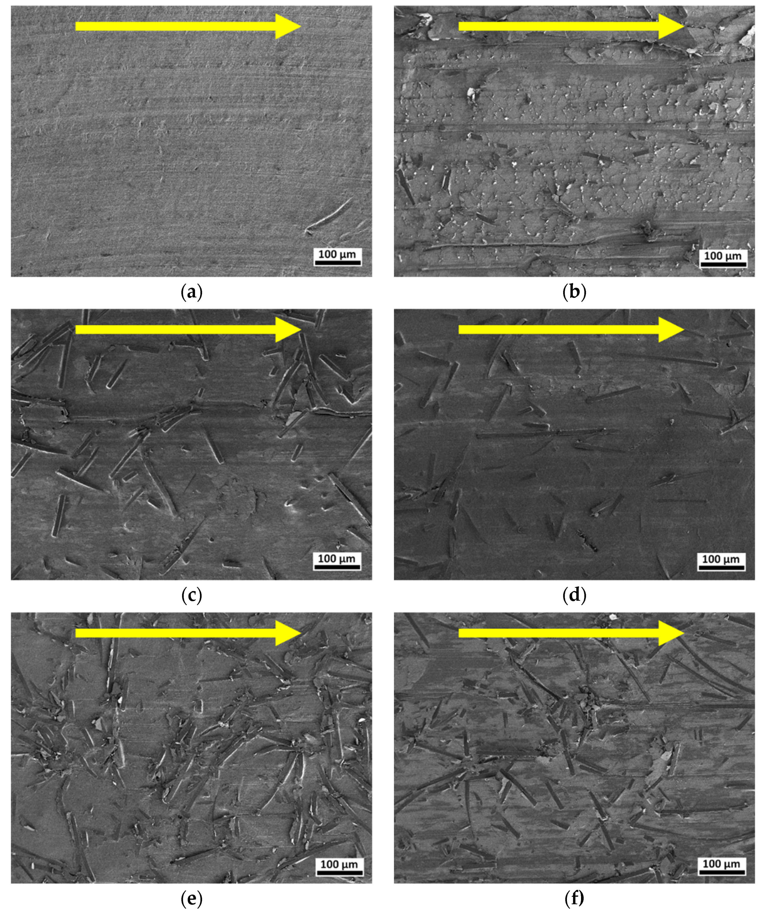 Lubricants 10 00004 g007