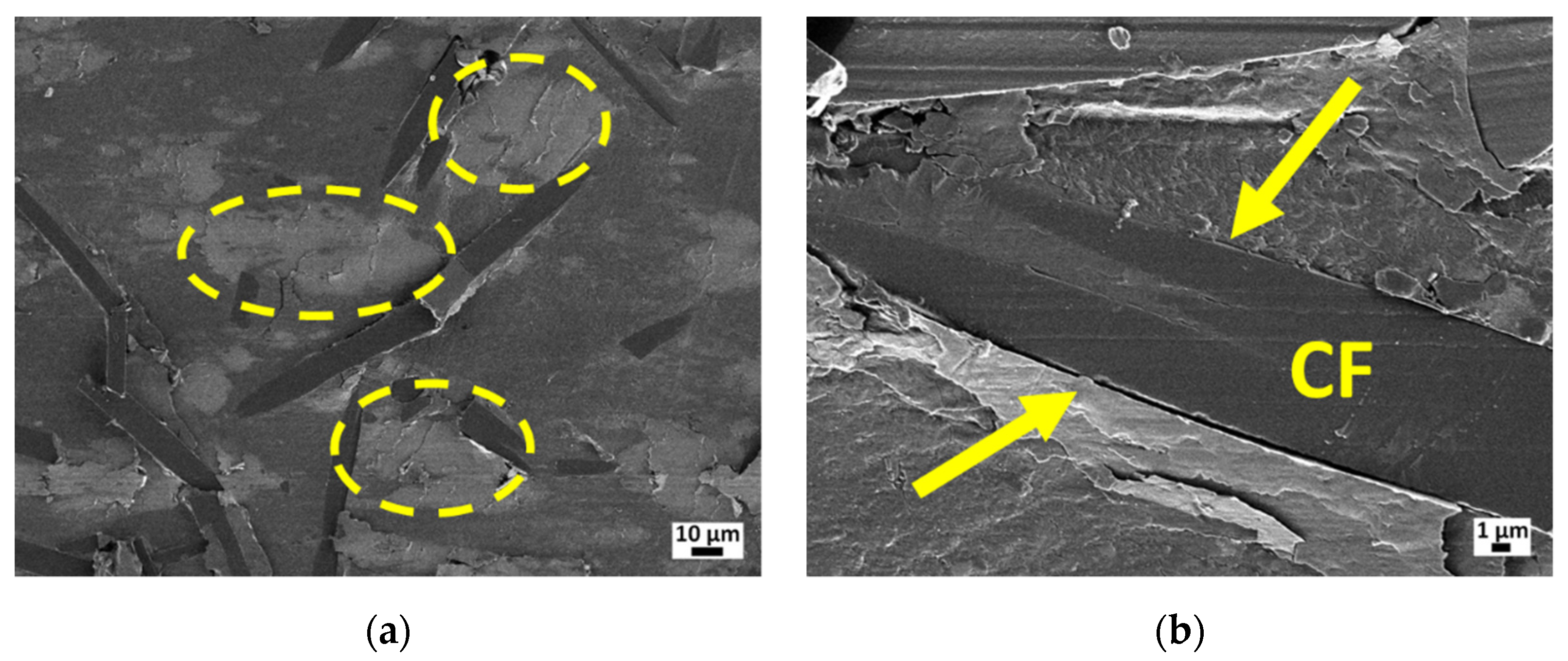 Lubricants 10 00004 g008
